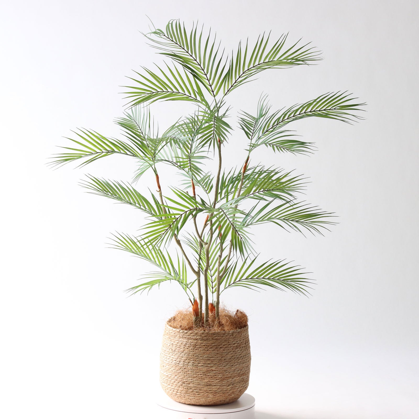 360度回転イメージ