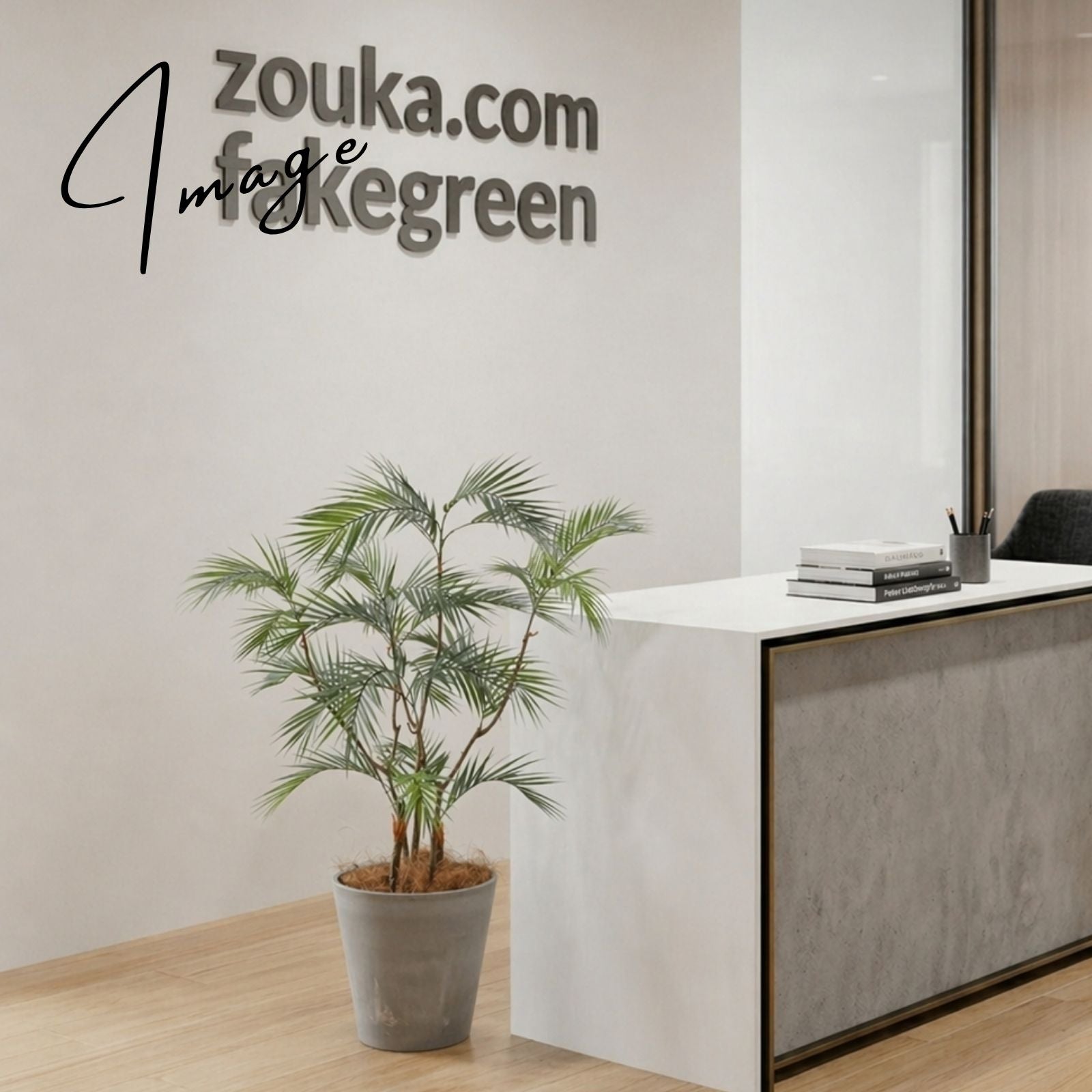 オフィス受付に置かれたアレカパーム