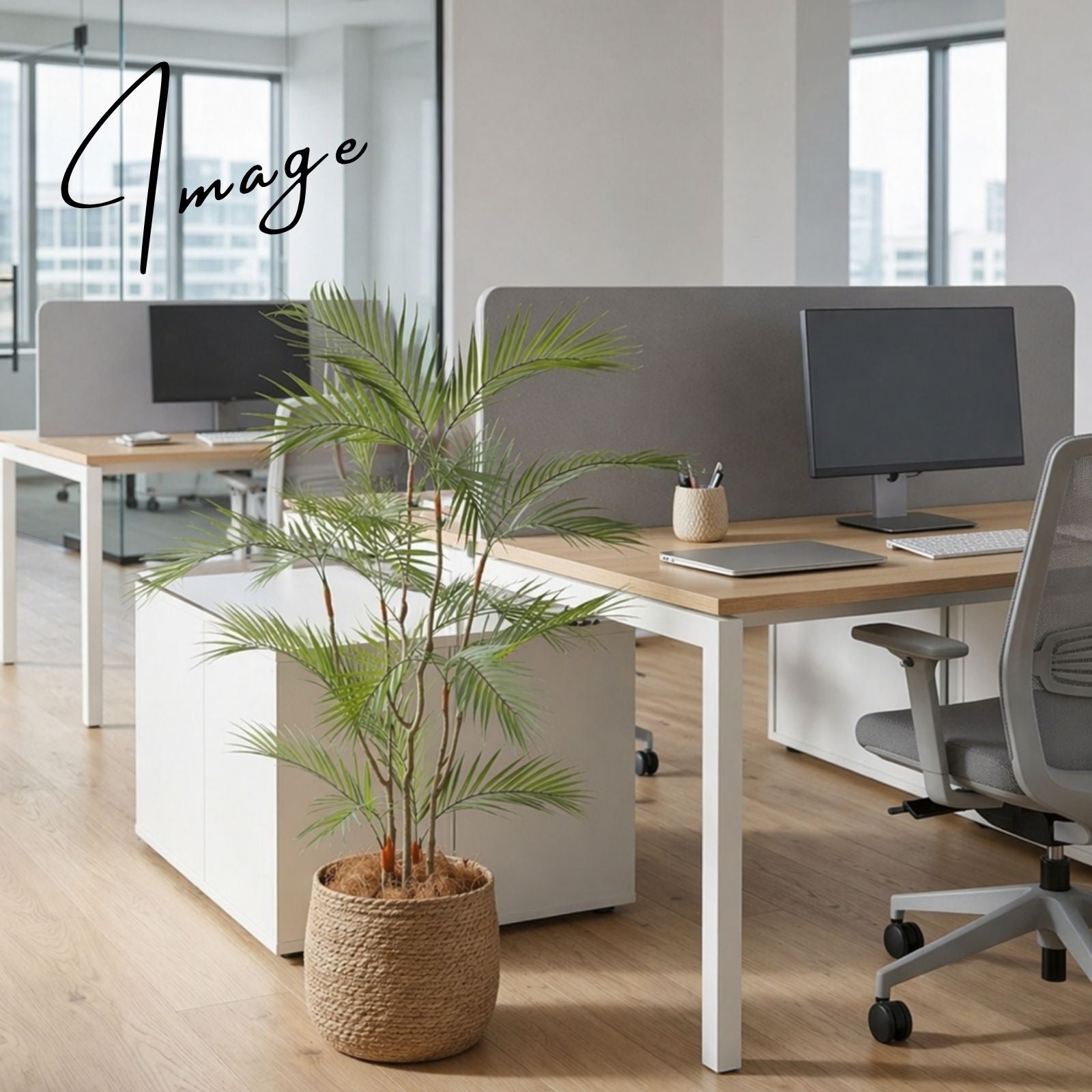 オフィスデスク横のアレカパーム