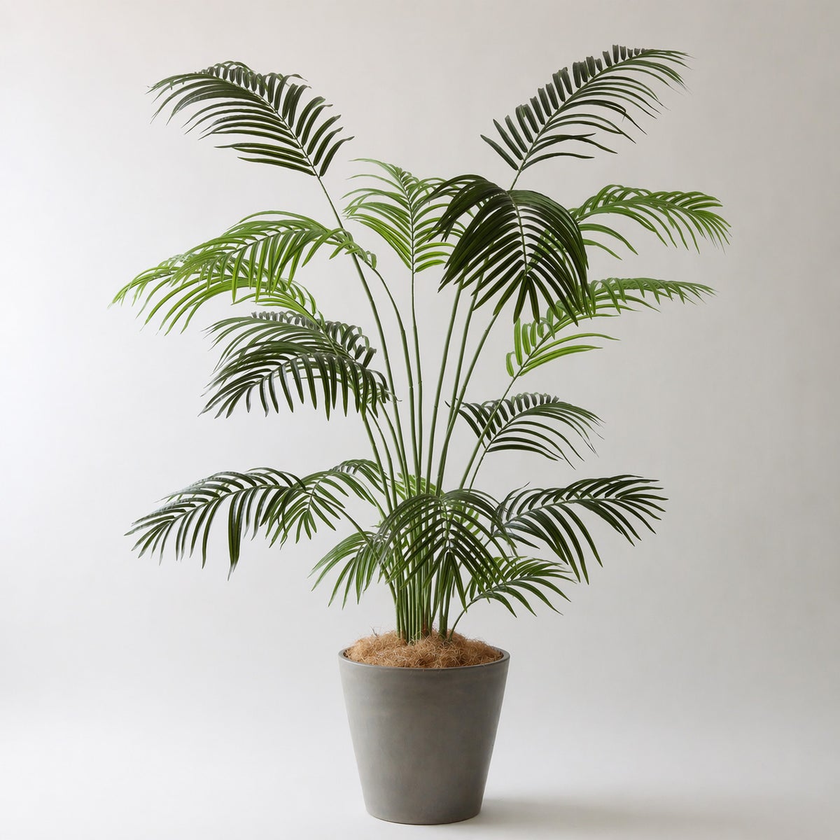 ⑯ Petraポット 大（PT10 グレー）｜高さ調整セット（+10cm）