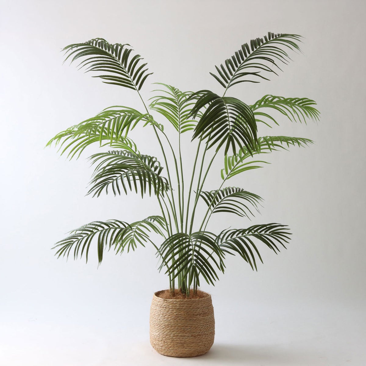 ① シーグラス 大（SK8）｜標準セット