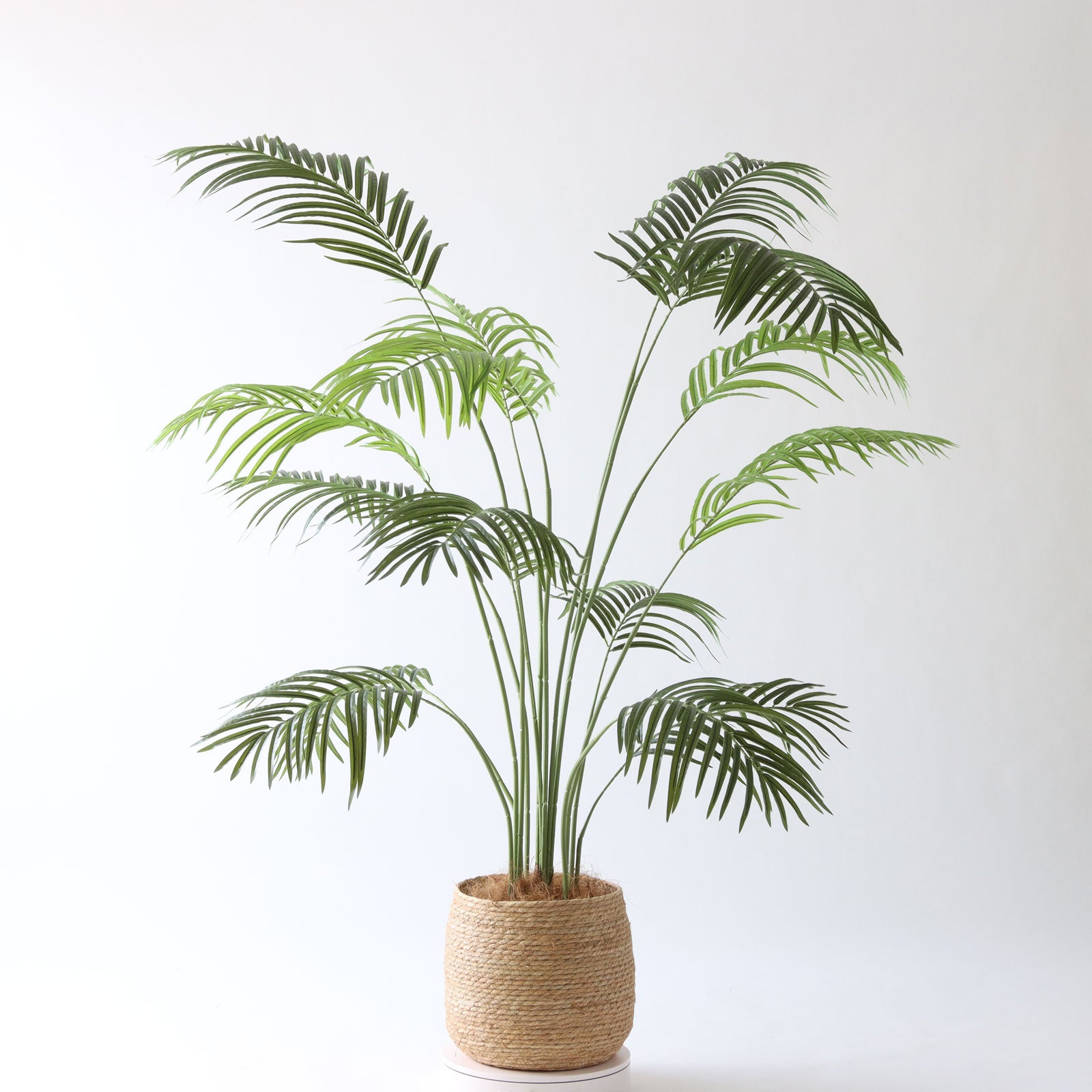 360度回転イメージ