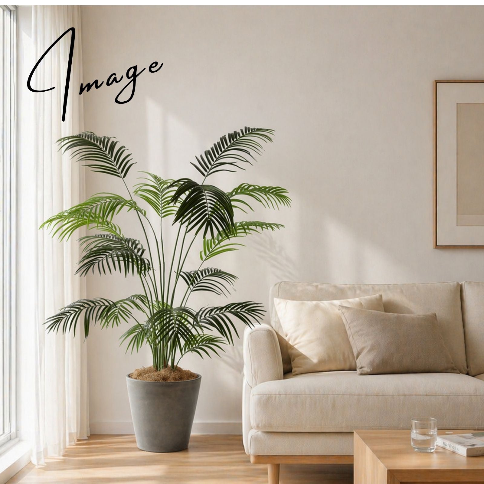 ナチュラルリビングとアレカパーム