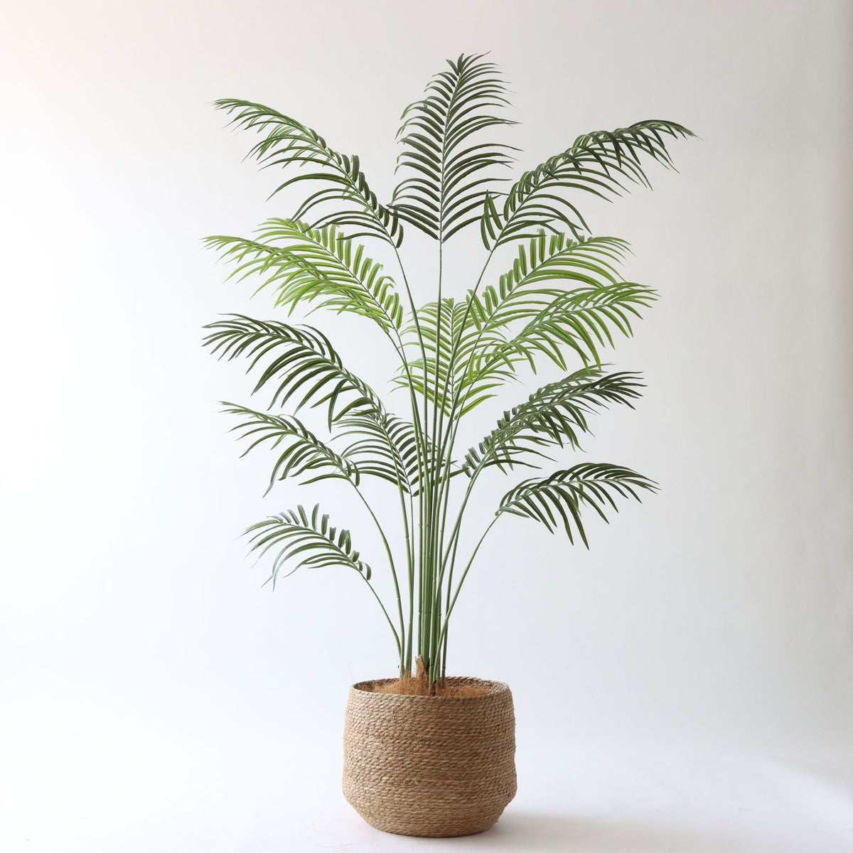 28.シーグラス 特大（SK10）｜高さ調整セット（+10cm）