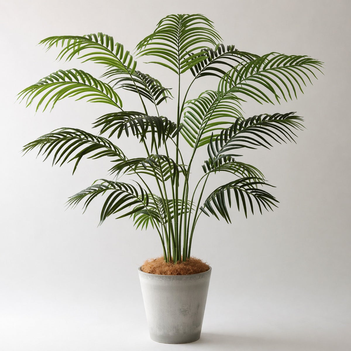 ⑯ Petraポット 大（PT10 グレー）｜高さ調整セット（+15cm）