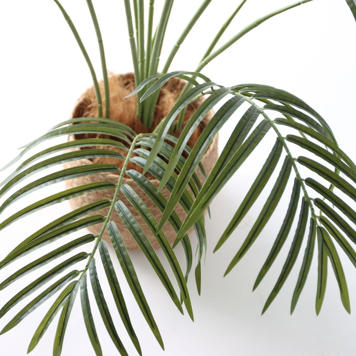 ④ バナナリーフ 小（KG4-SRE）鉢カバーセット