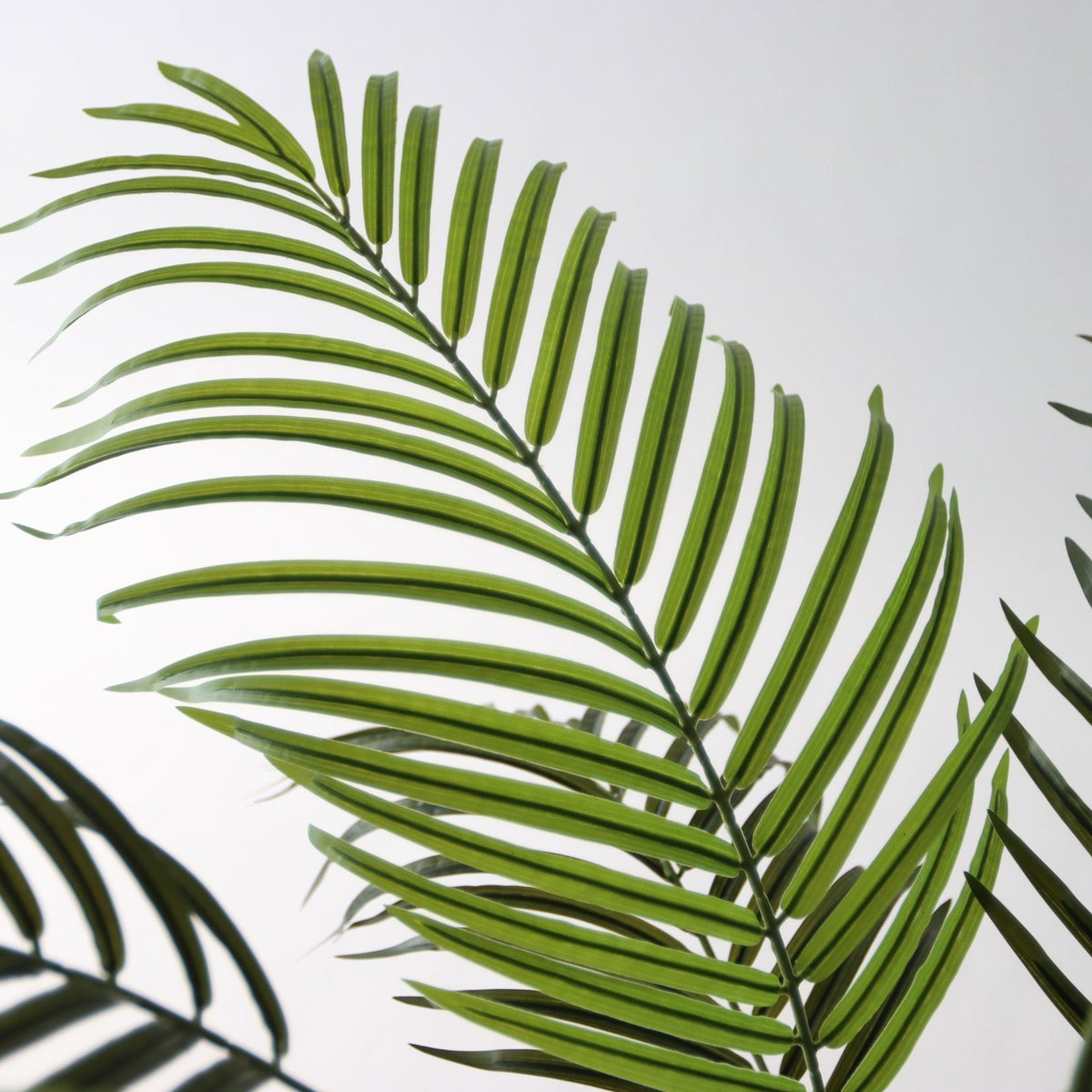 ⑫ スマートポット（CHIC8）鉢カバーセット