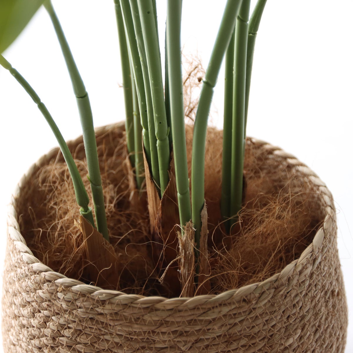 ⑭ プラ鉢（標準）