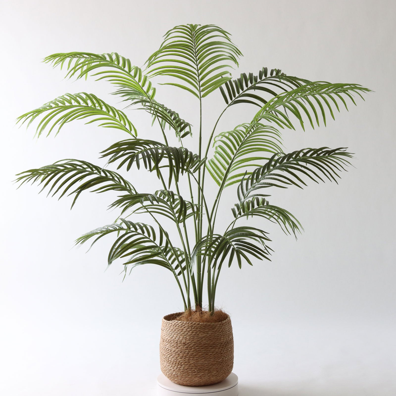 360度回転イメージ