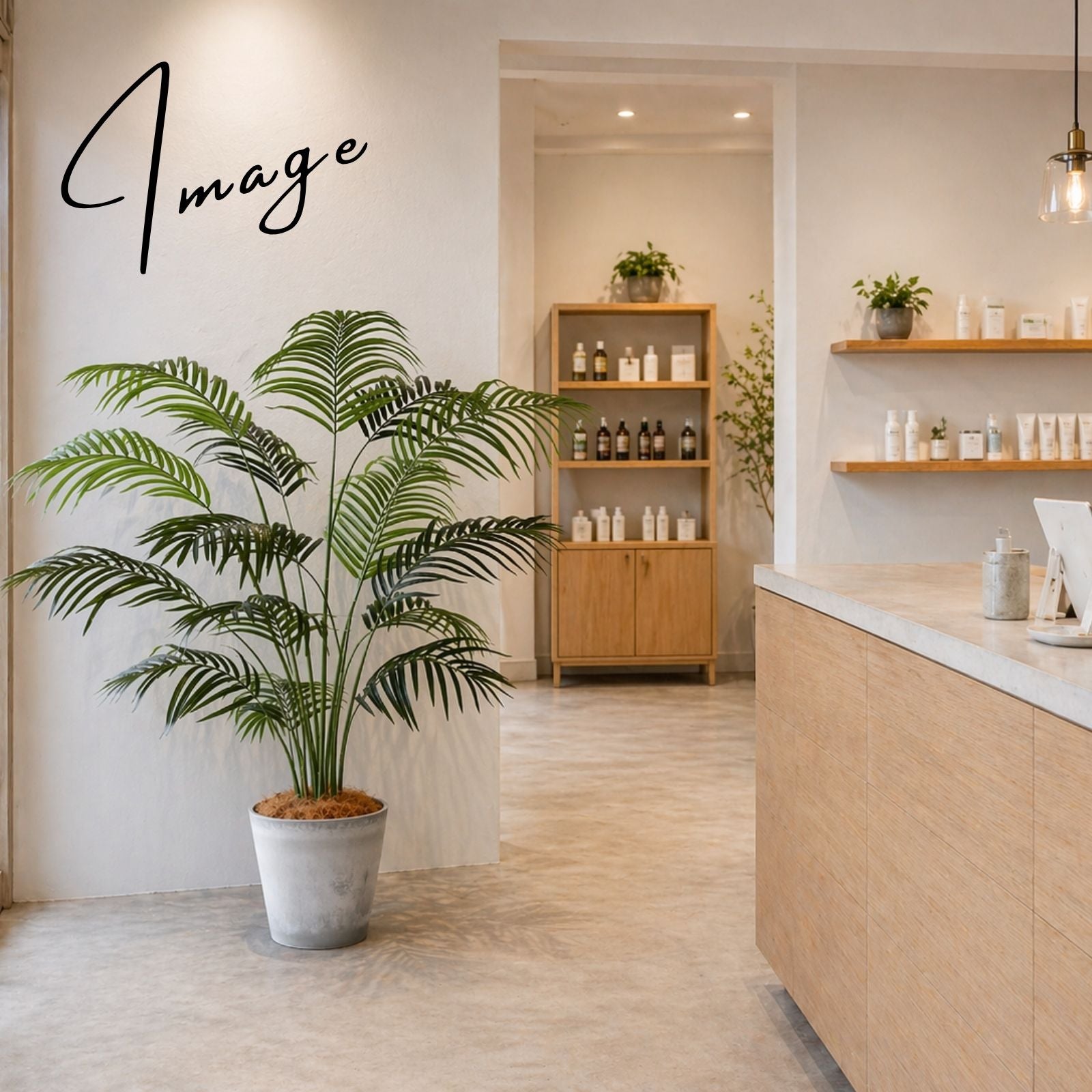 サロン空間のグリーン