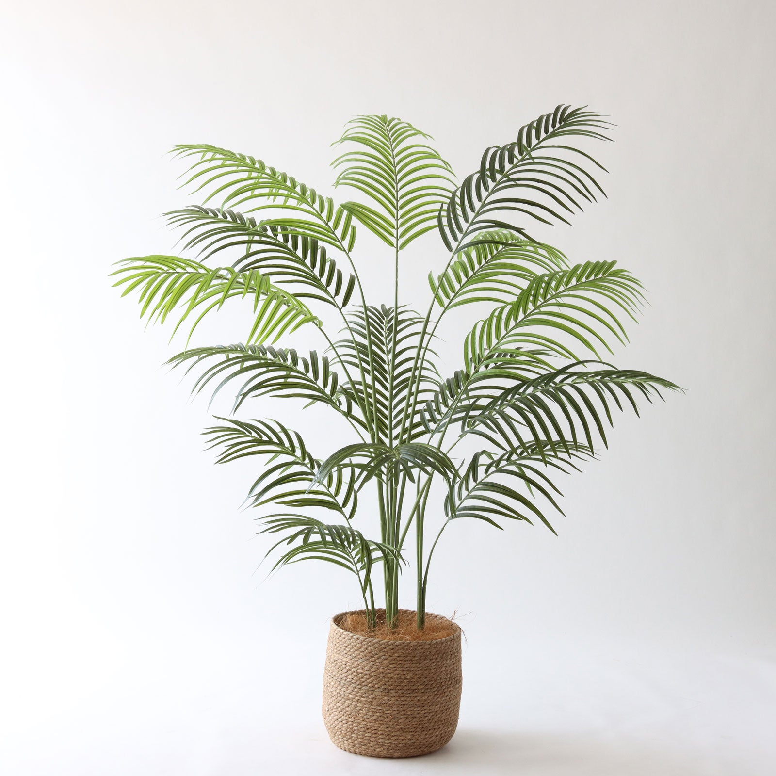 高さ120-150cm | プレミアム光触媒フェイクグリーン 造花ドットコム