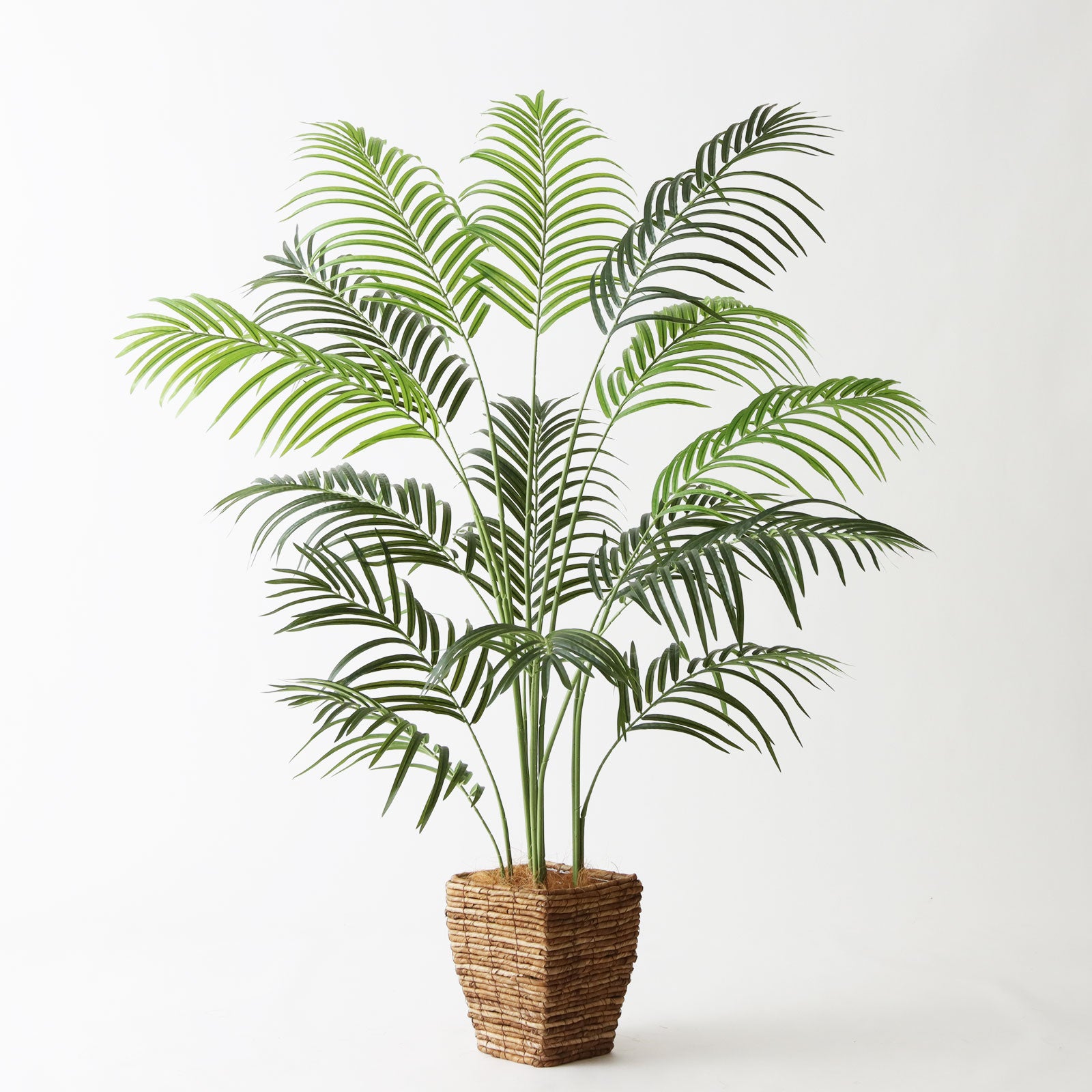 造花ドットコム プレミアム光触媒 フェニックスパーム 220cm ヤシの木 ヤシ（アレカ・フェニックス・パーム） | プレミアム光触媒フェイク