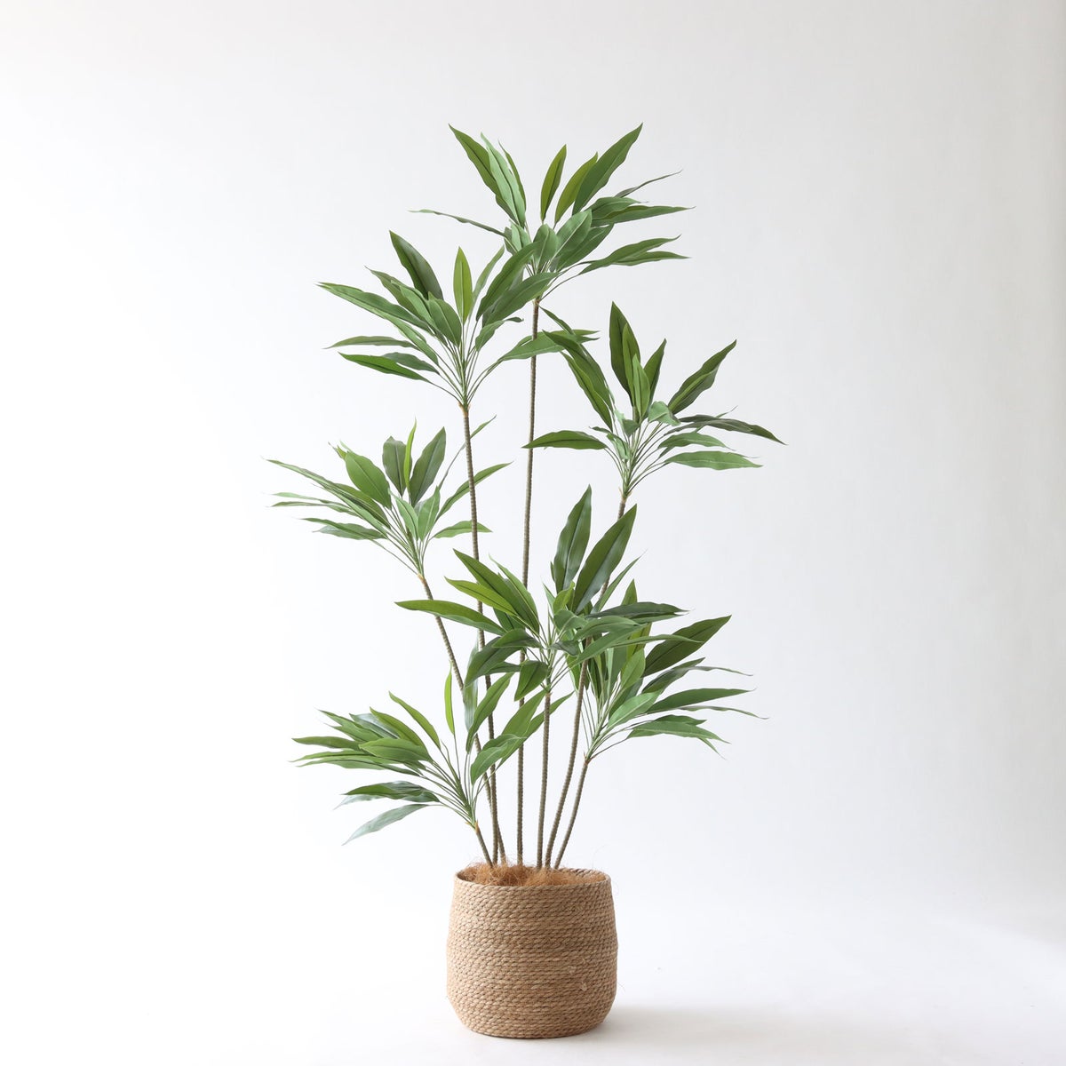 ① シーグラス 大（SK8）｜標準セット