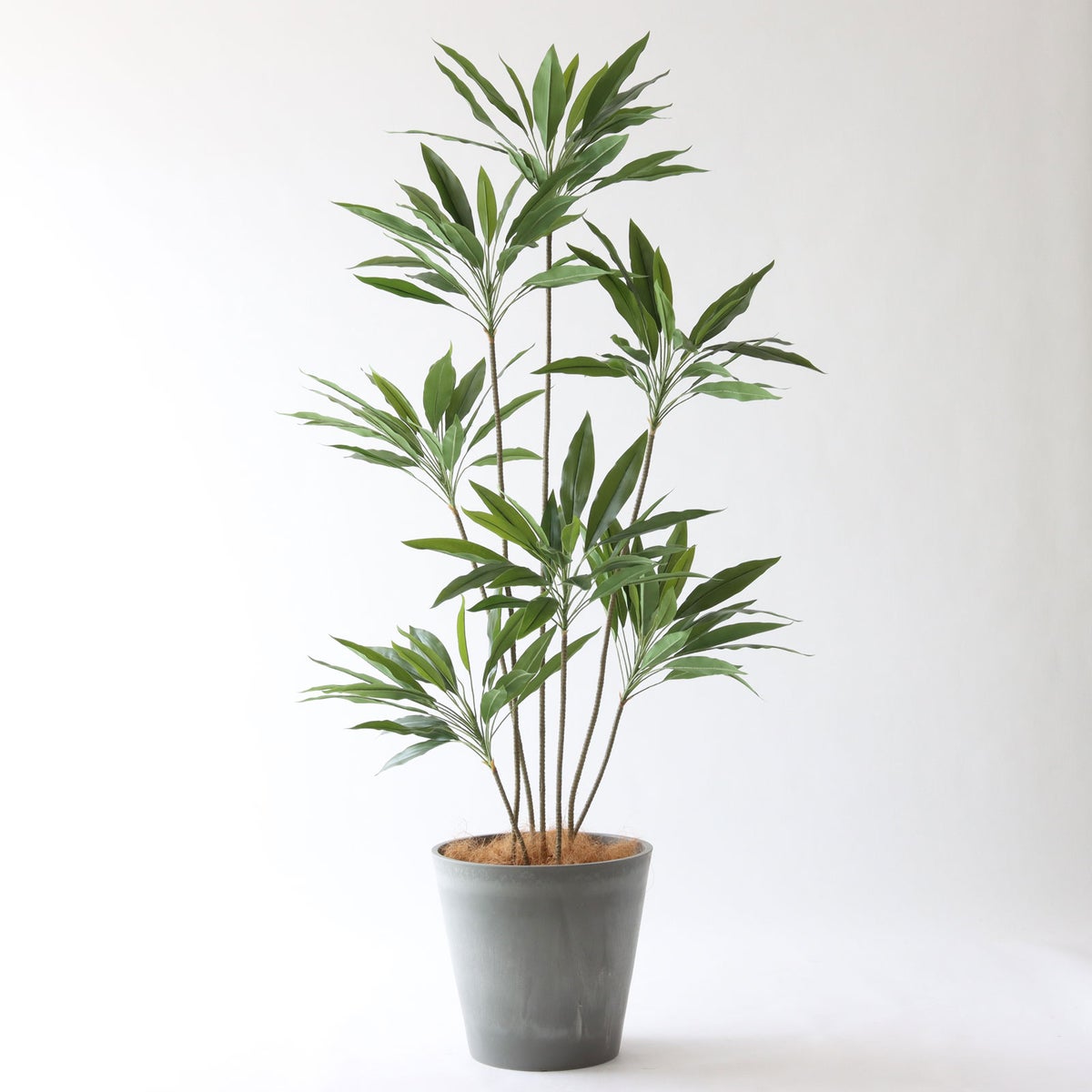 ⑯ Petraポット 大（PT10 グレー）｜高さ調整セット（+15cm）