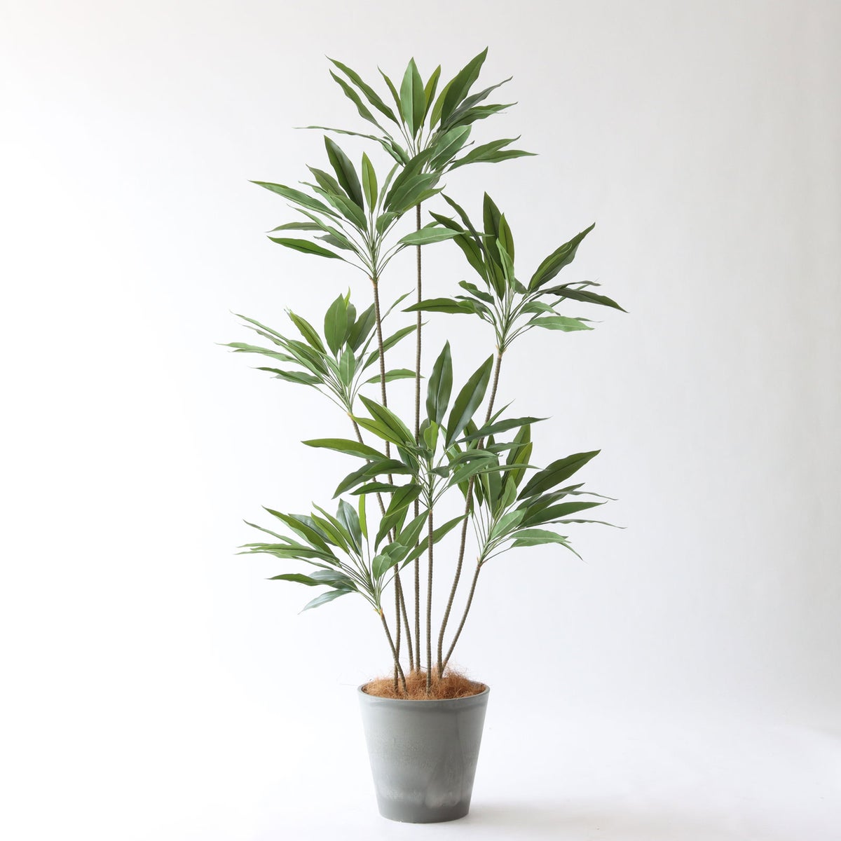 ⑮ Petraポット 小（PT8 グレー）｜高さ調整セット(+10cm)