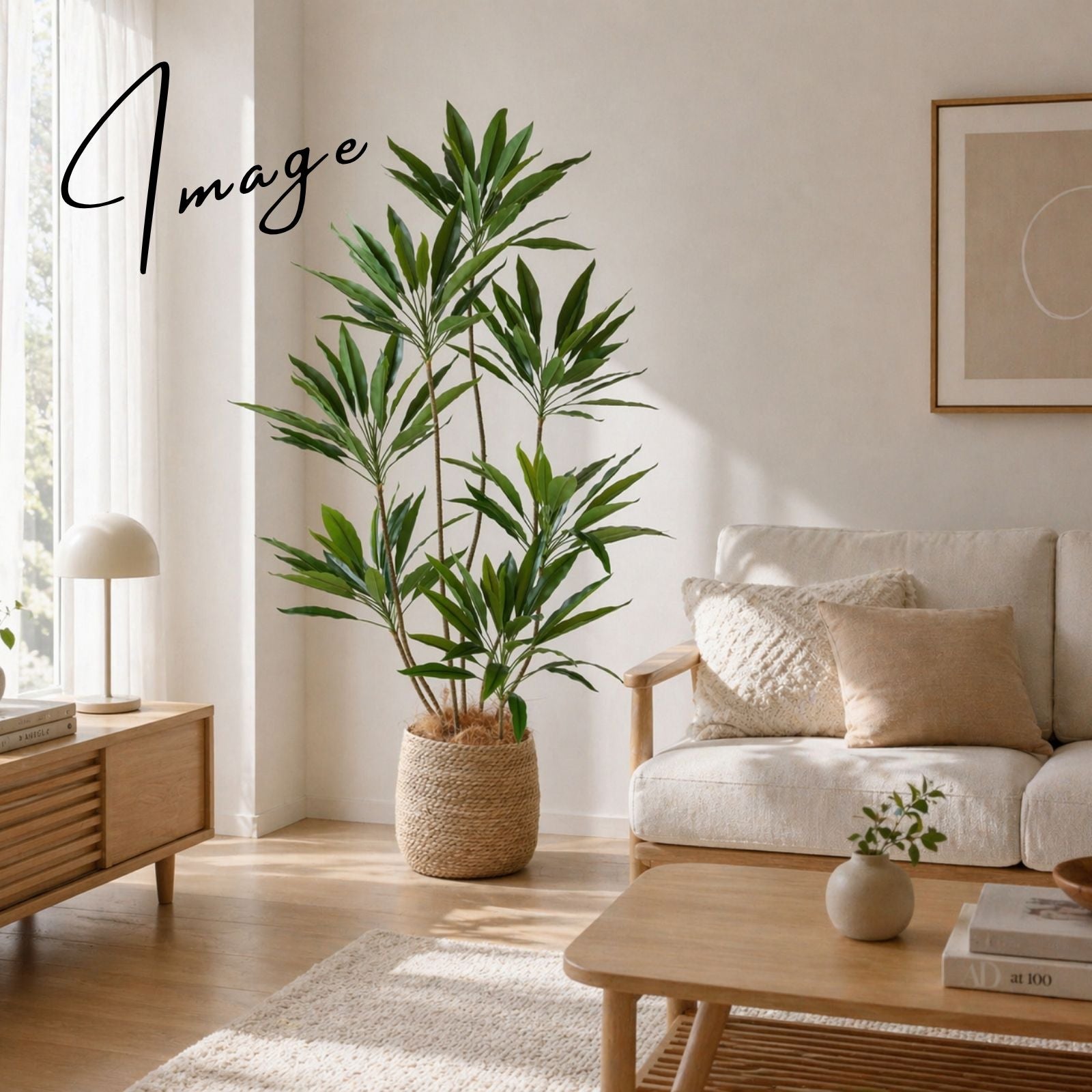 ナチュラルなリビングに置かれたグリーン