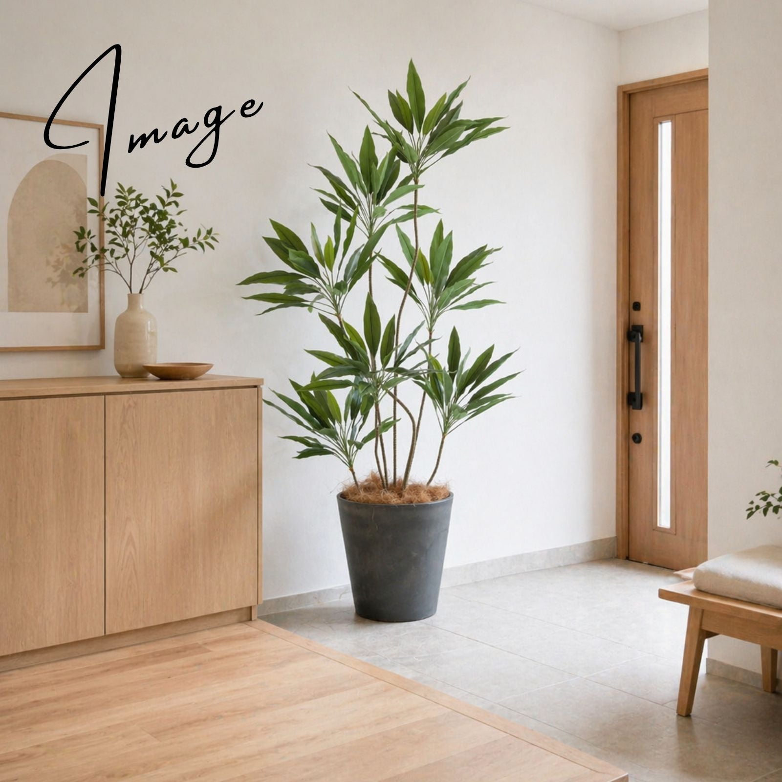 ナチュラルな玄関に置かれたグリーン