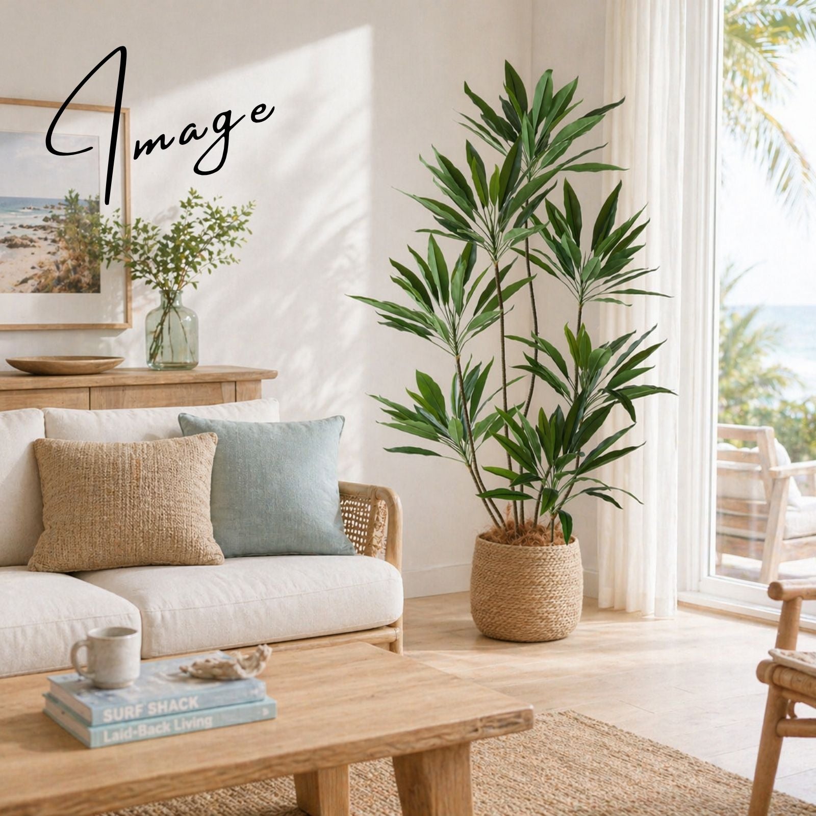 西海岸風の明るいリビングに置かれたグリーン