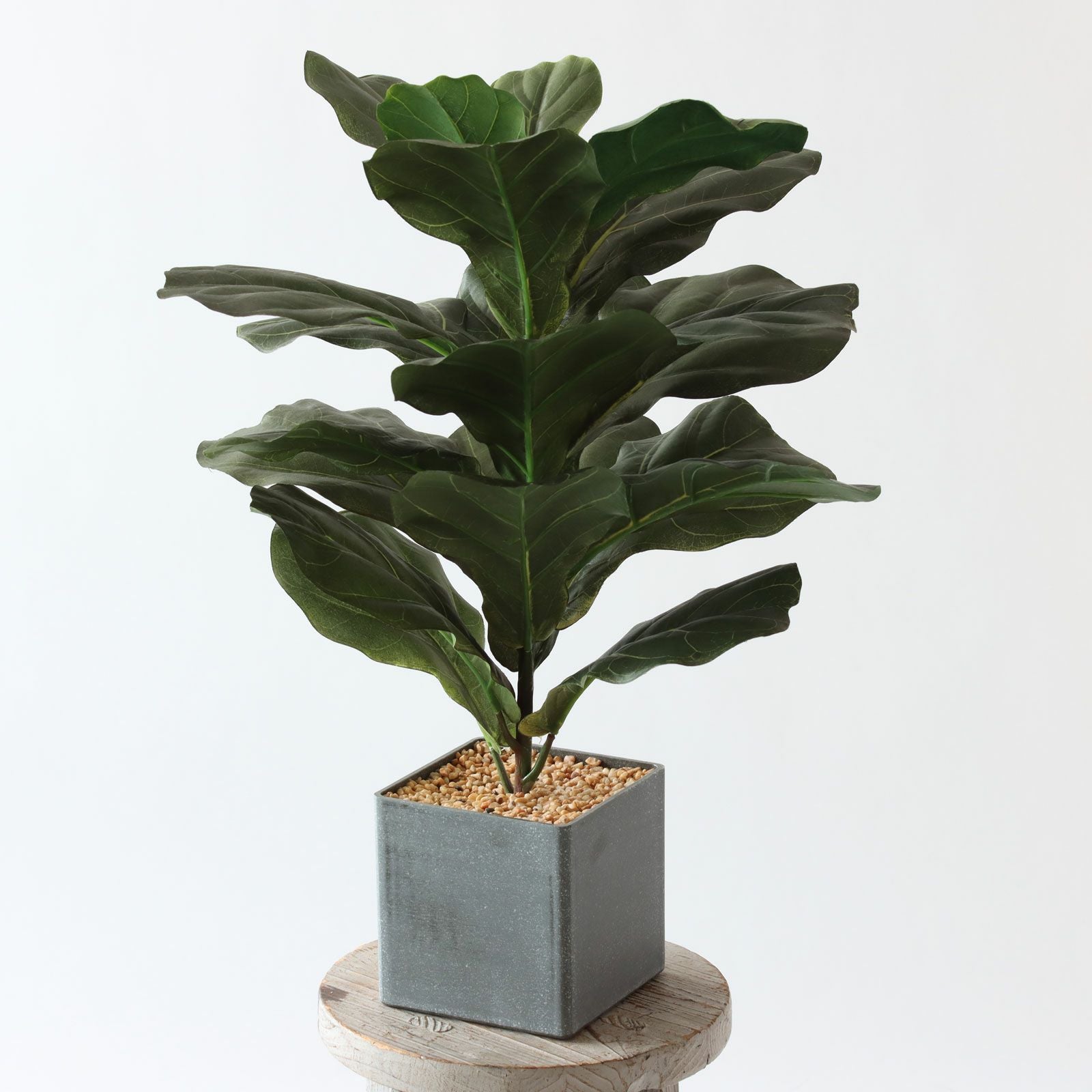 360度回転イメージ