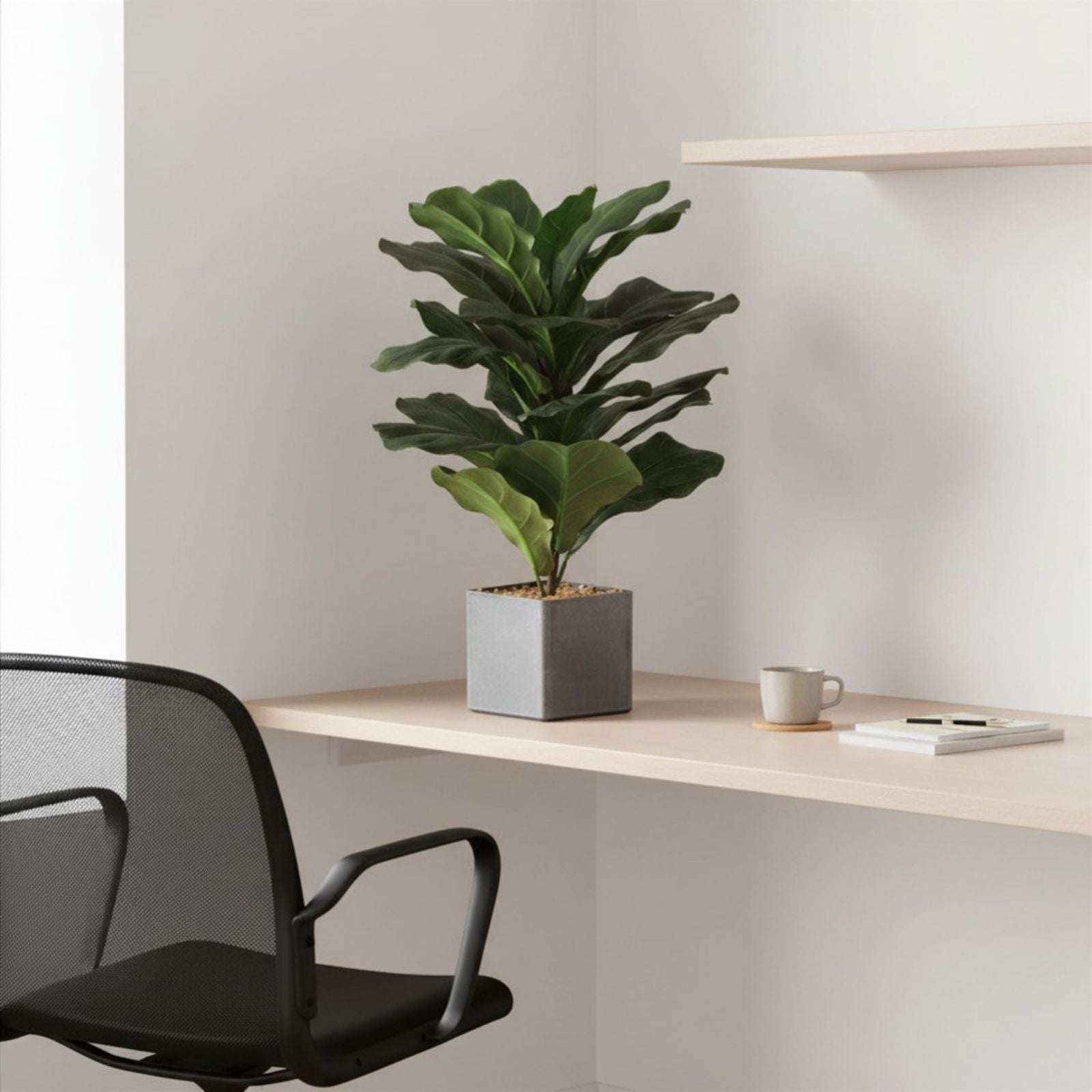 書斎の机の上とフィドルリーフフィグ