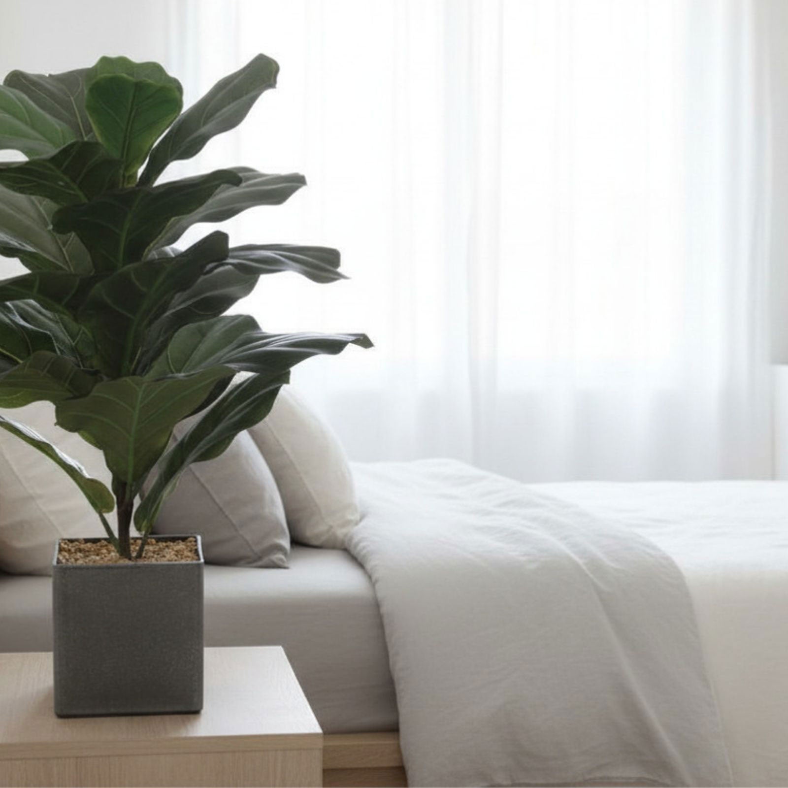 明るい寝室とグリーン