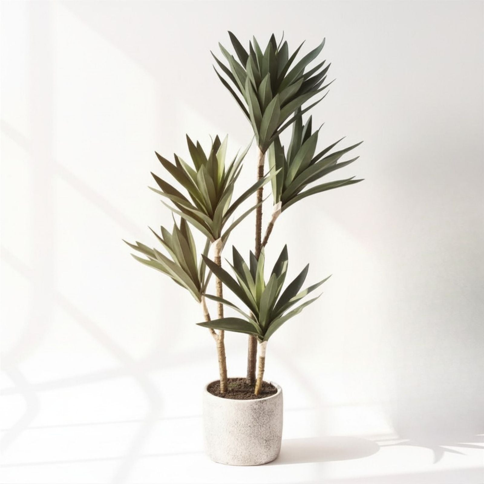 朝陽があたる空間に置かれたグリーン