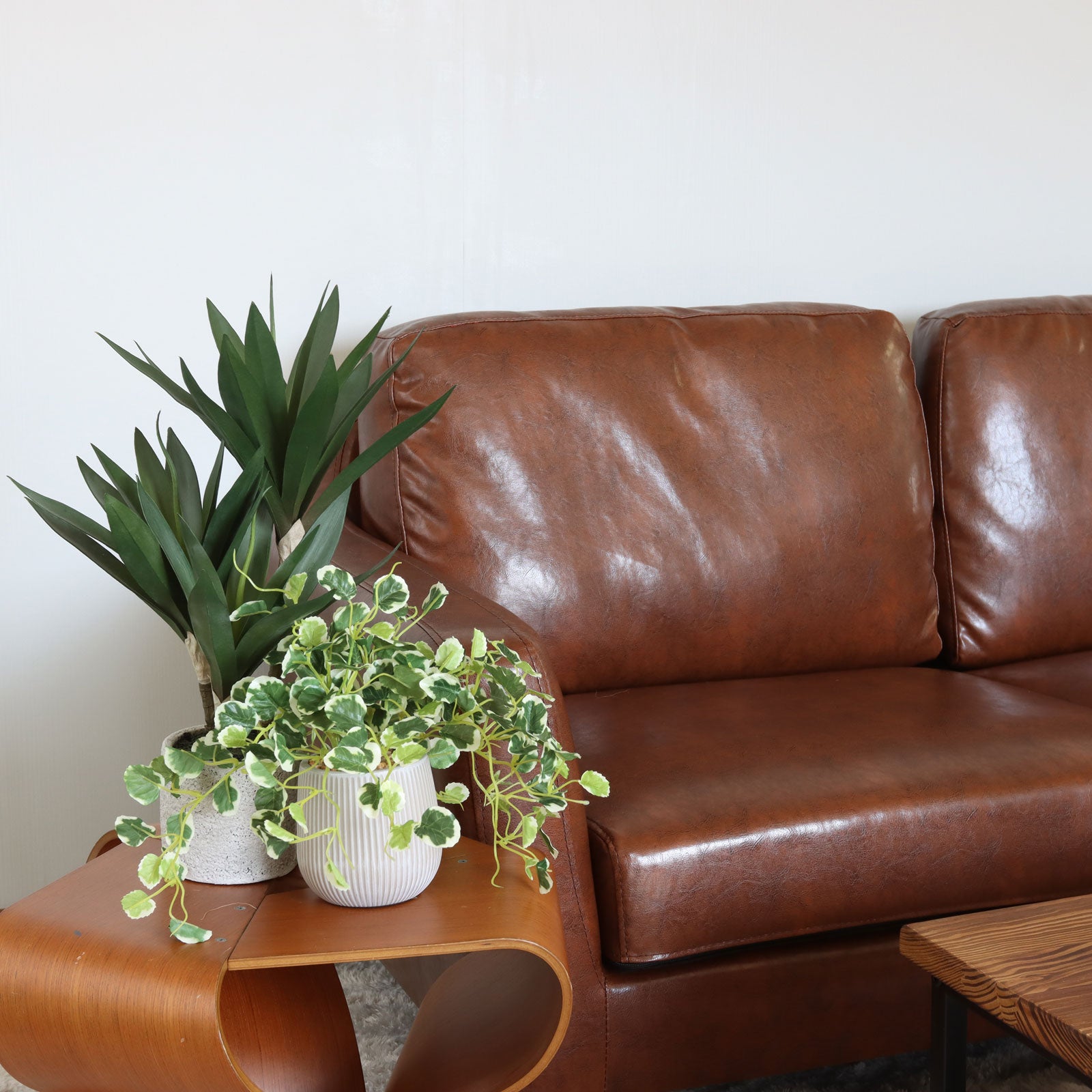 ソファ横のサイドテーブルとグリーン