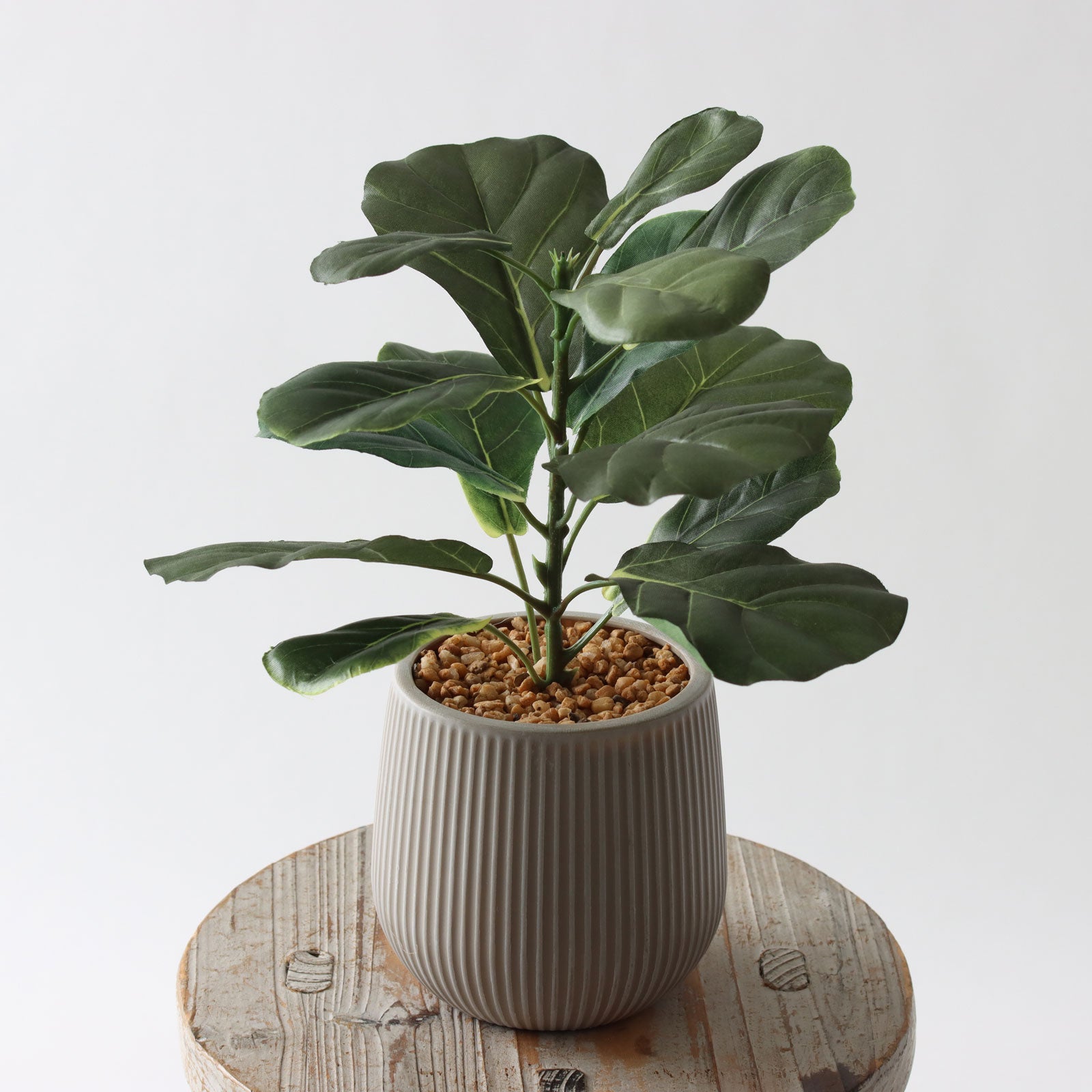 360度回転イメージ