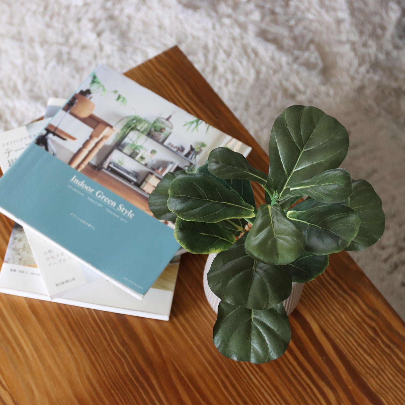 No8438 フィドルリーフフィグのインテリアイメージ