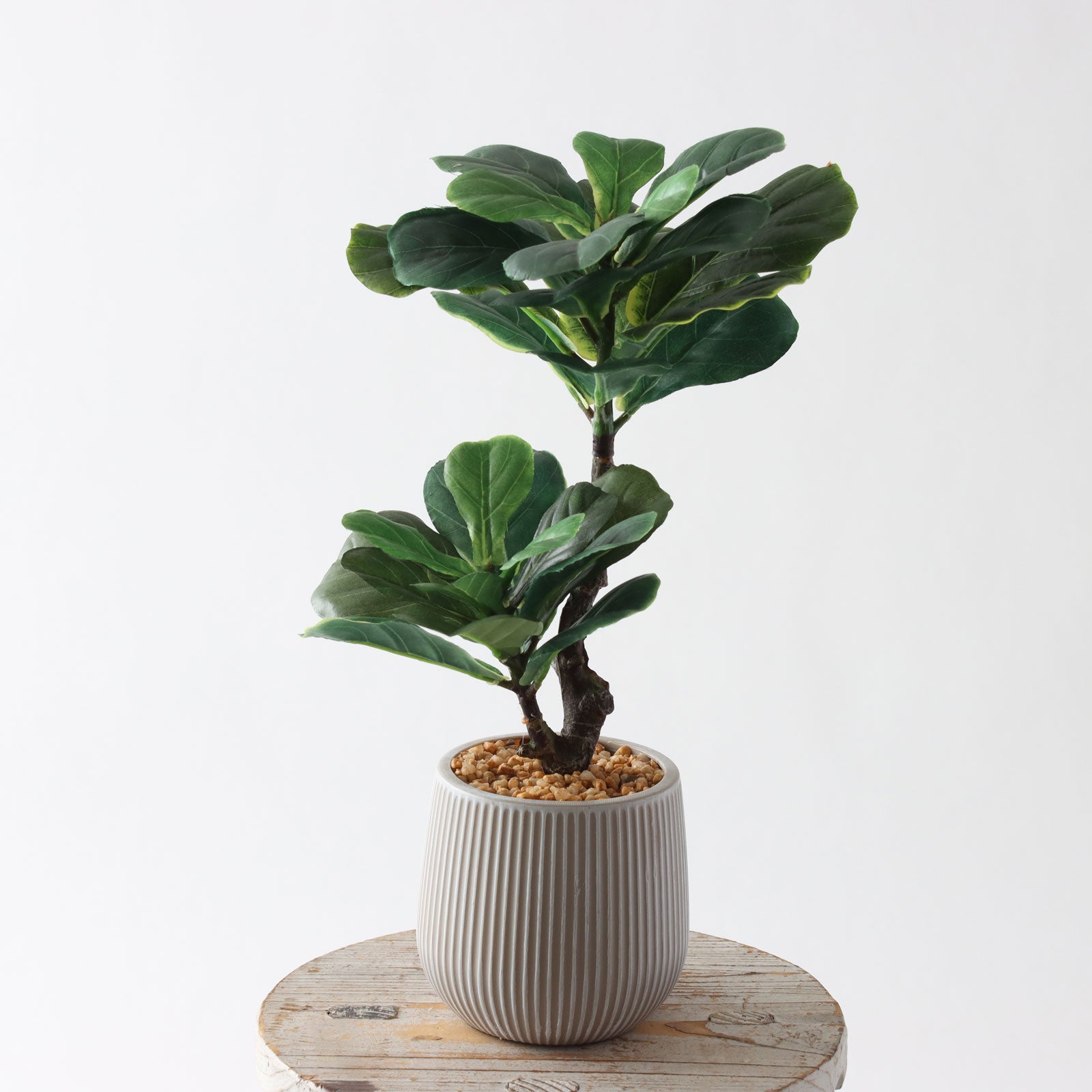 360度回転イメージ