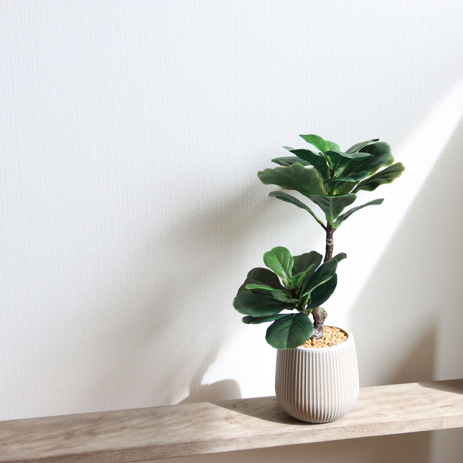 フェイクグリーン GREEN COFFRET インディア180cm 人工観葉植物 フェイクグリーン