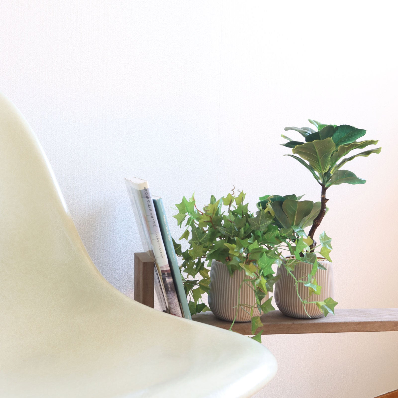 No8439 フィドルリーフフィグのある仕事部屋イメージ