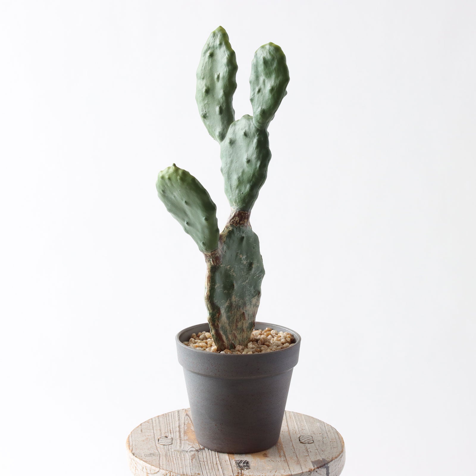 360度回転イメージ