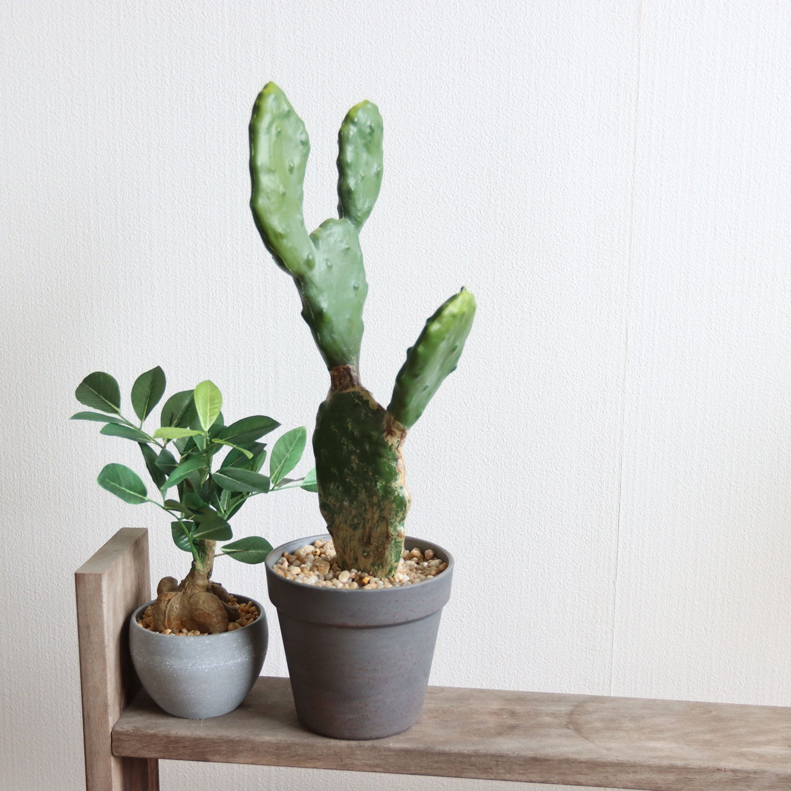 No9421 プレミアム光触媒フェイクグリーン ミニグリーンのインテリアイメージ