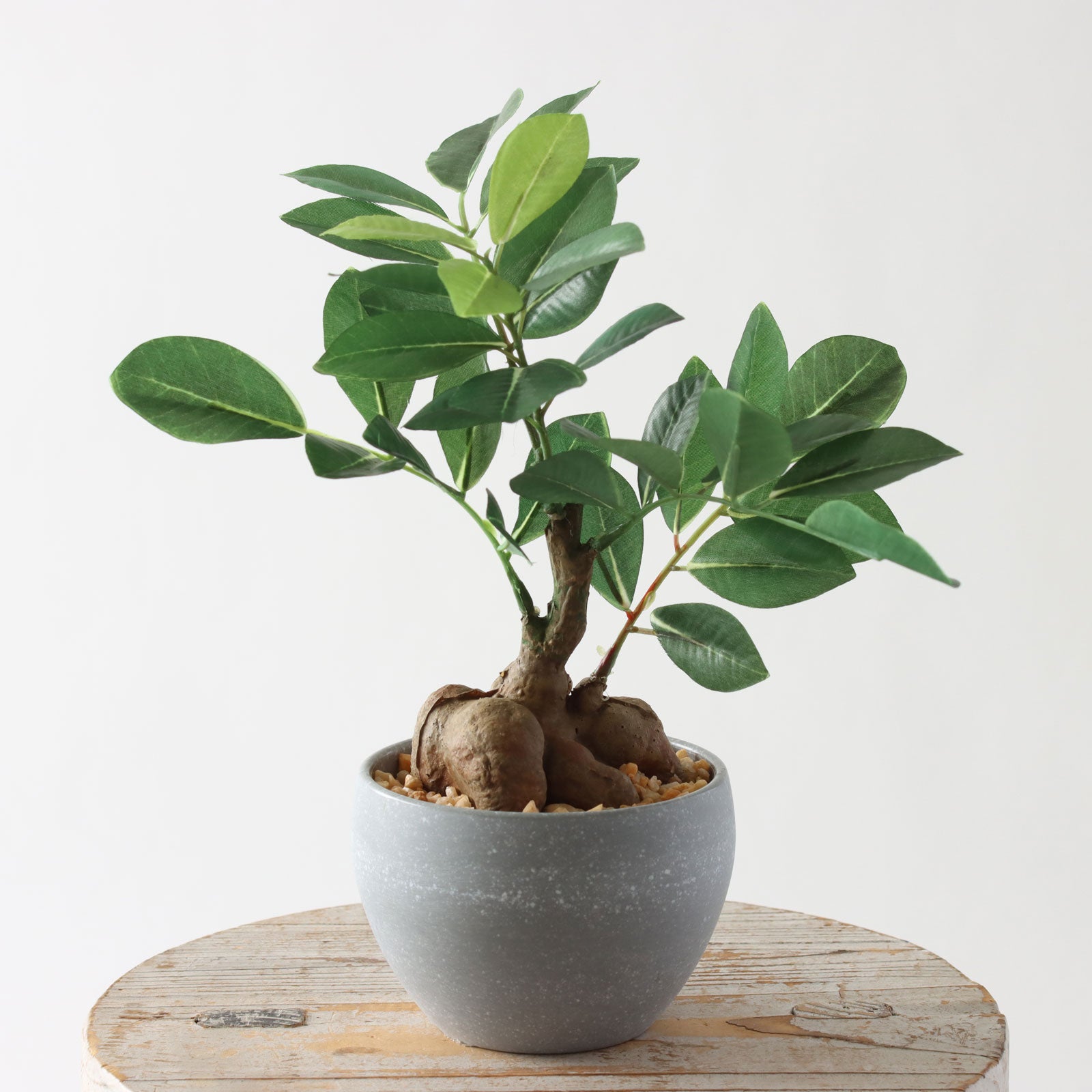 360度回転イメージ