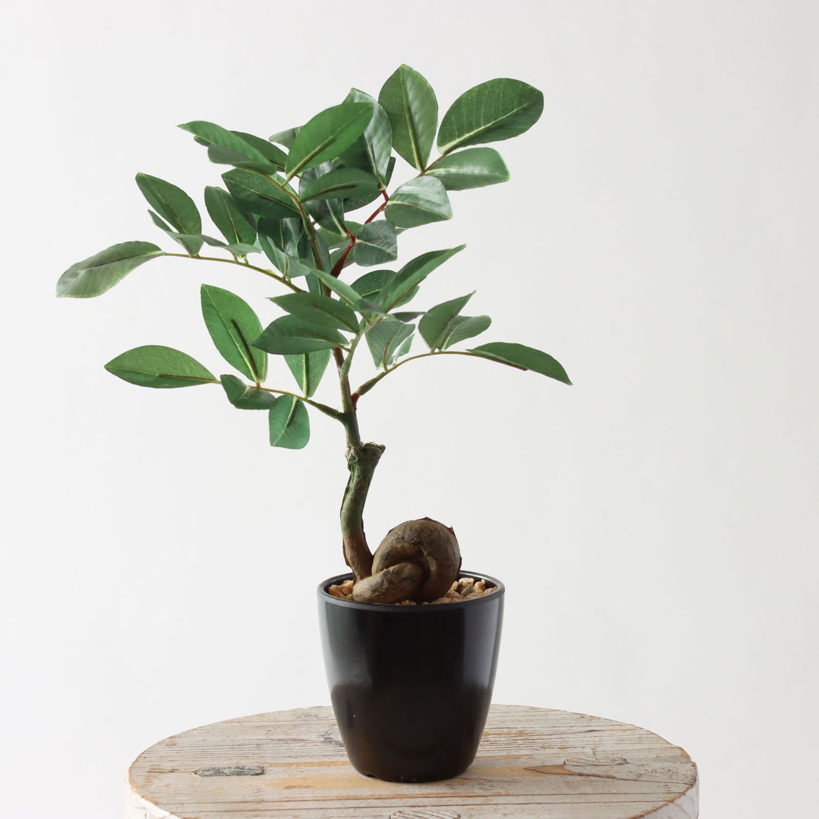 360度回転イメージ