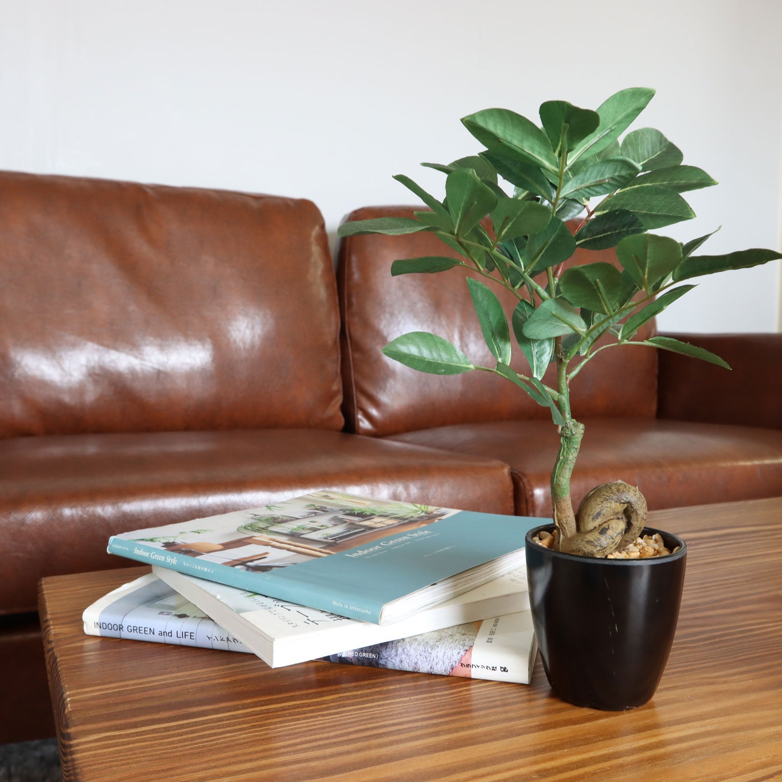 No8464 プレミアム光触媒フェイクグリーン ガジュマルのある暮らしイメージ