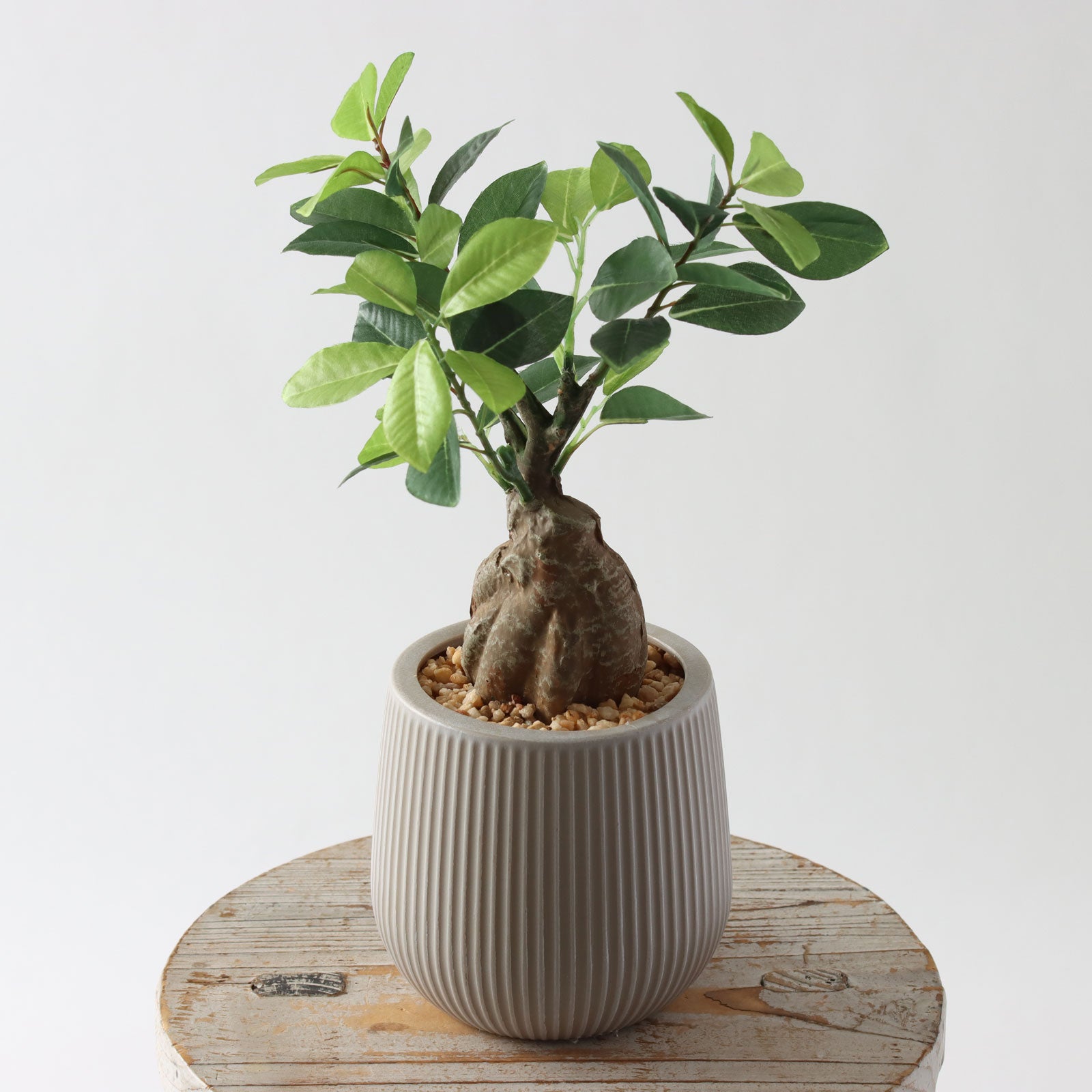 360度回転イメージ