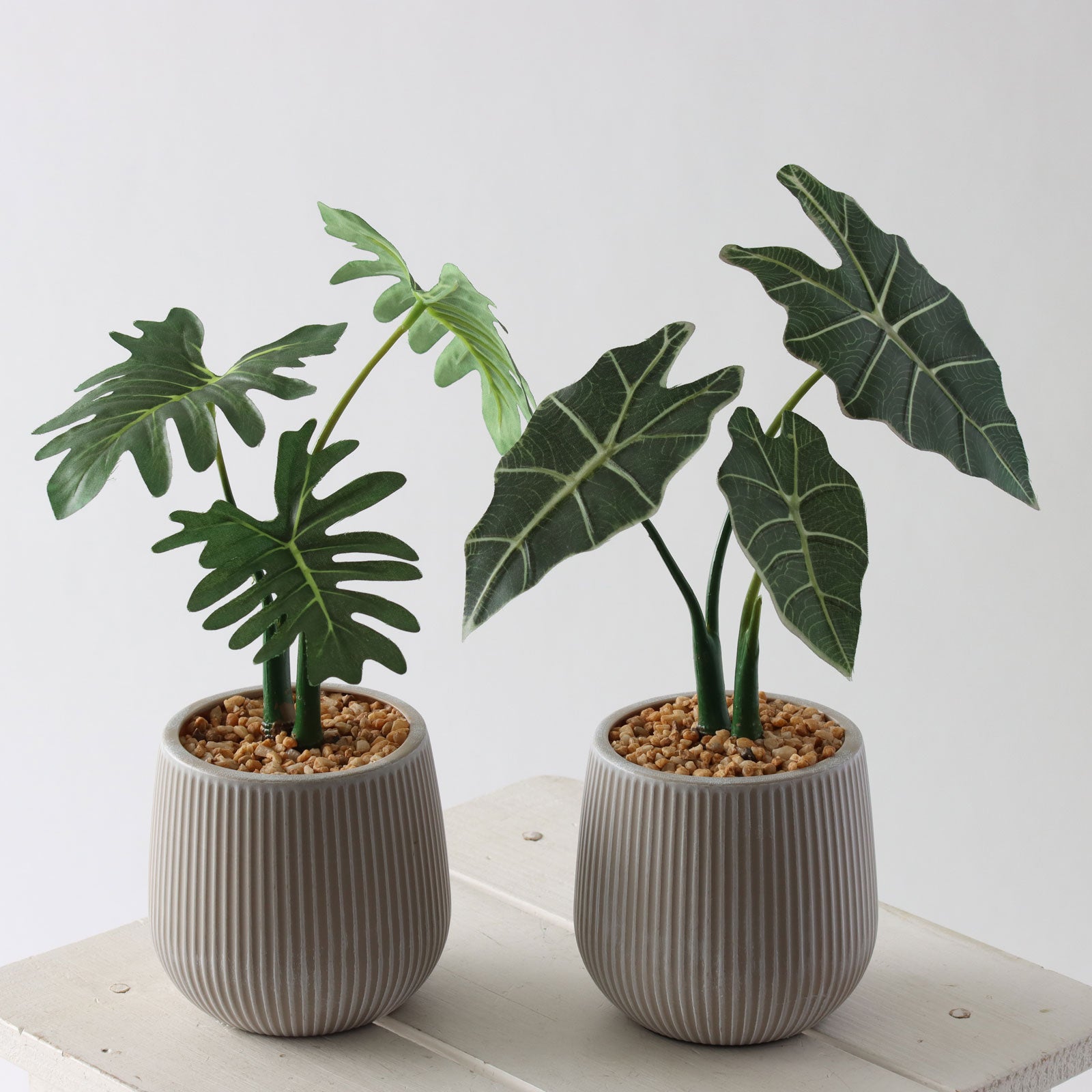 360度回転イメージ