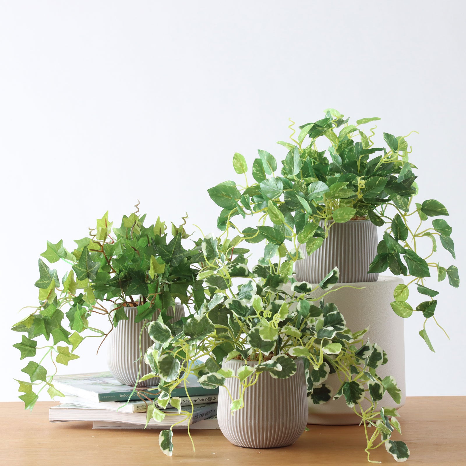造花ドットコム　　植物(フェイクグリーン)　パキラ パキラ | プレミアム光触媒フェイクグリーン 造花ドットコム zouka.com