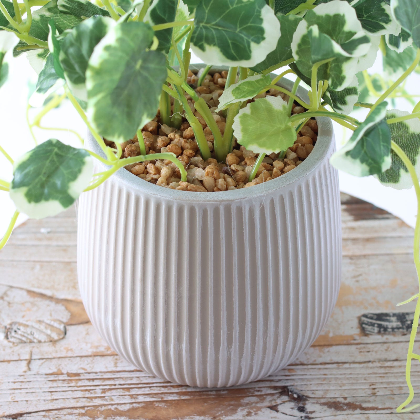 ナチュラルな空間の中のグリーン