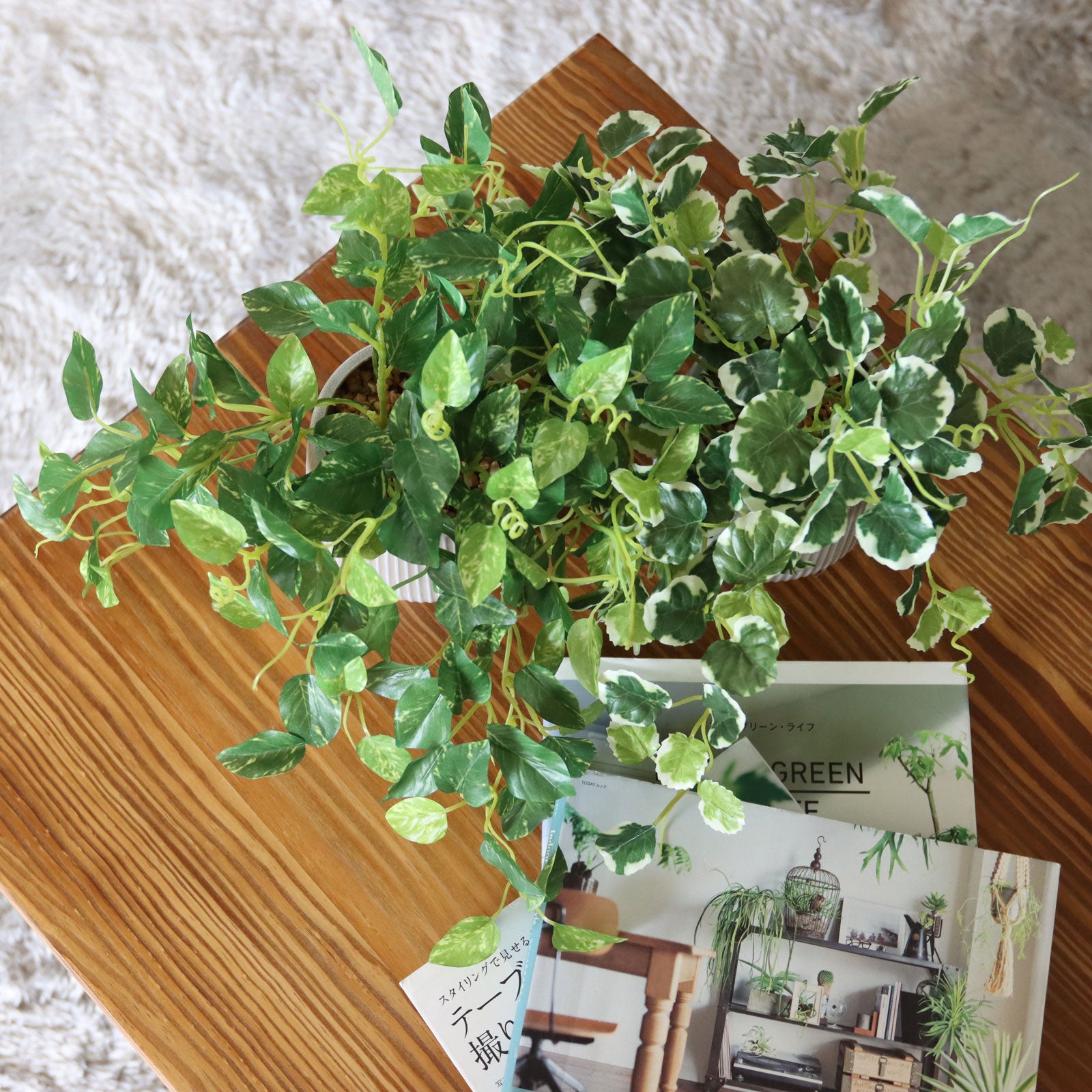 インテリアに馴染むグリーンのある空間