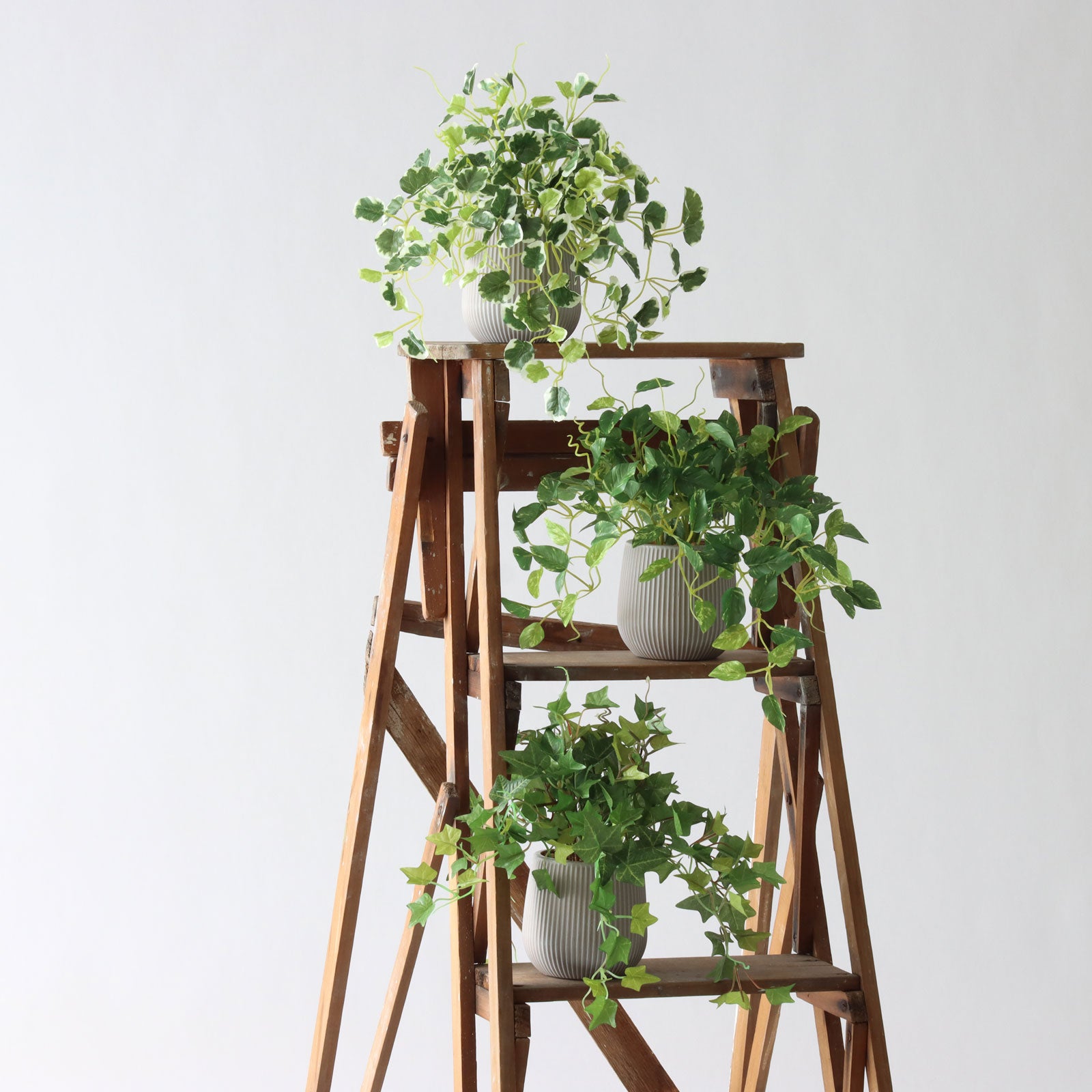 光が差し込むリビングのグリーン