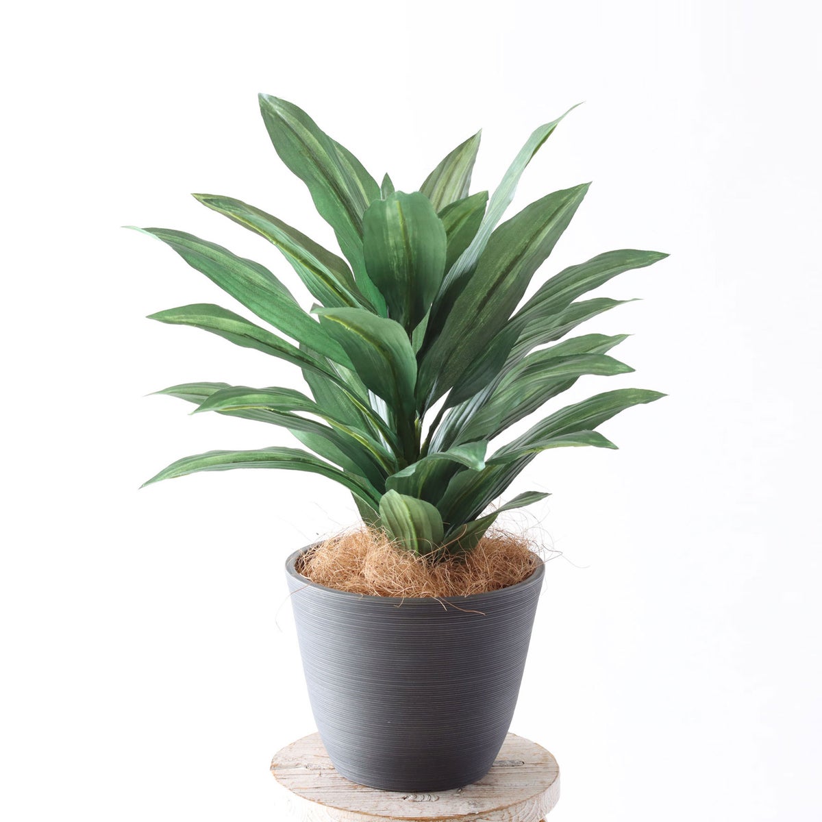 ⑱Nagomiポット（NP5 ブラック）鉢カバーセット