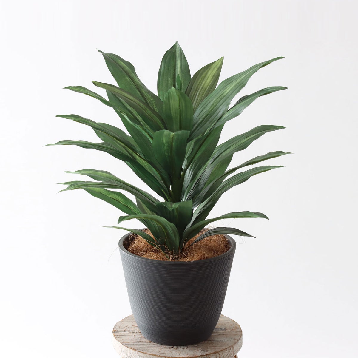 ⑱Nagomiポット（NP5 ブラック）｜標準セット