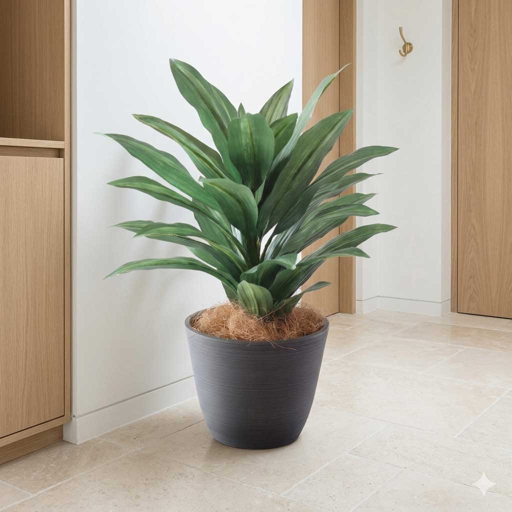 玄関に置かれたグリーン