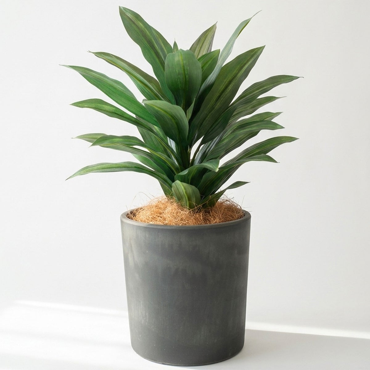 ⑰Petraポット （PT5 チャコール）鉢カバー＋底上げセット