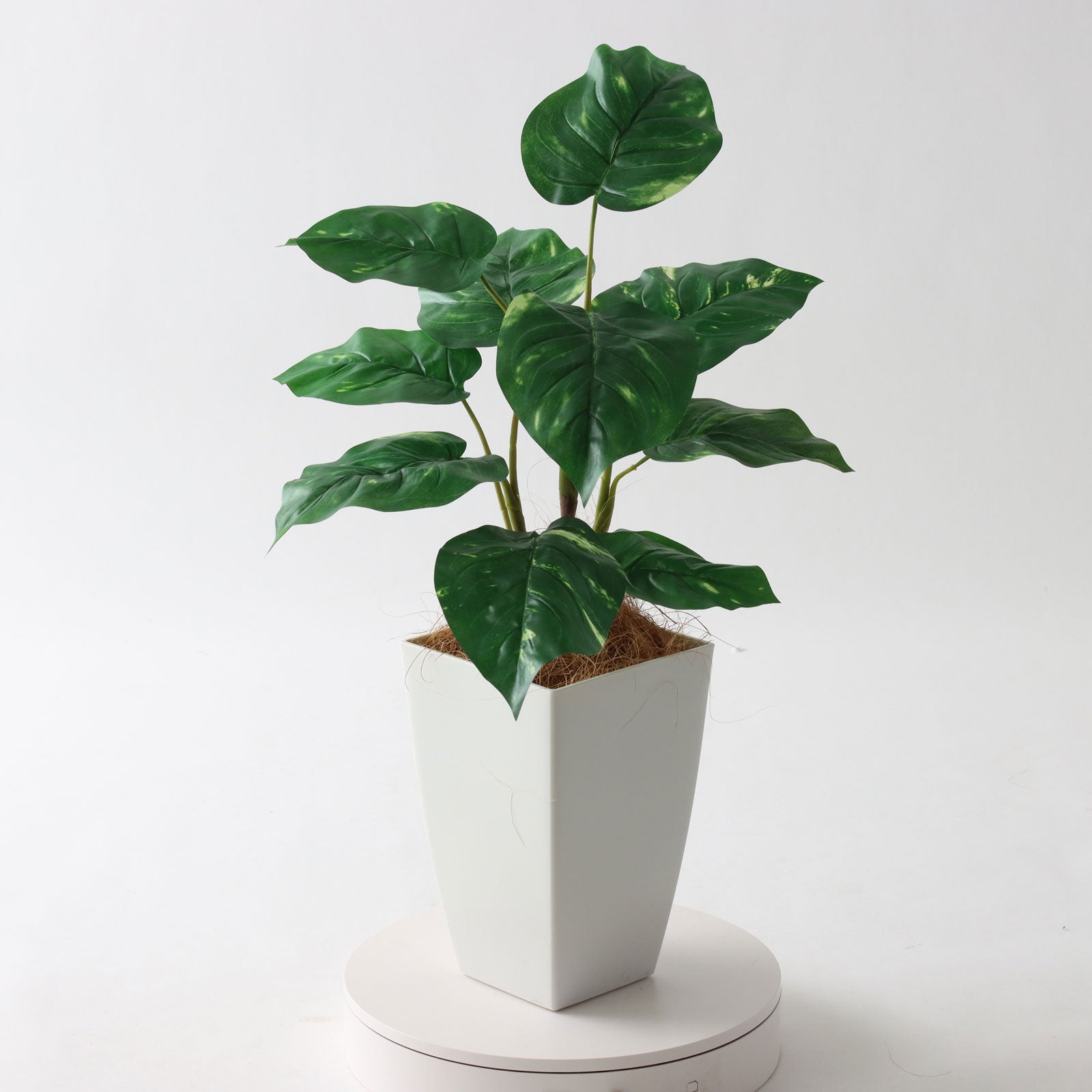 光触媒　人工観葉植物　フェイクグリーン　スカーレットローズスタンド1.0m No.9372SQ プレミアム光触媒フェイクグリーン 「すっと立ち上がる