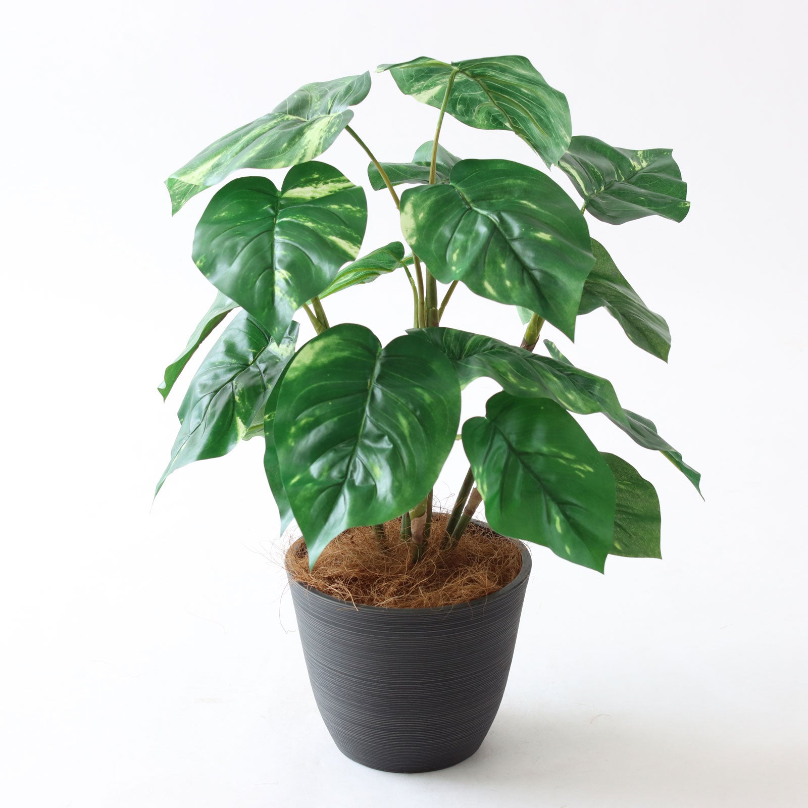 観葉植物　フェイク　造花　※2400010463105 フェイクグリーン グリーン 造花 観葉植物 フェイク 消臭 インテリア