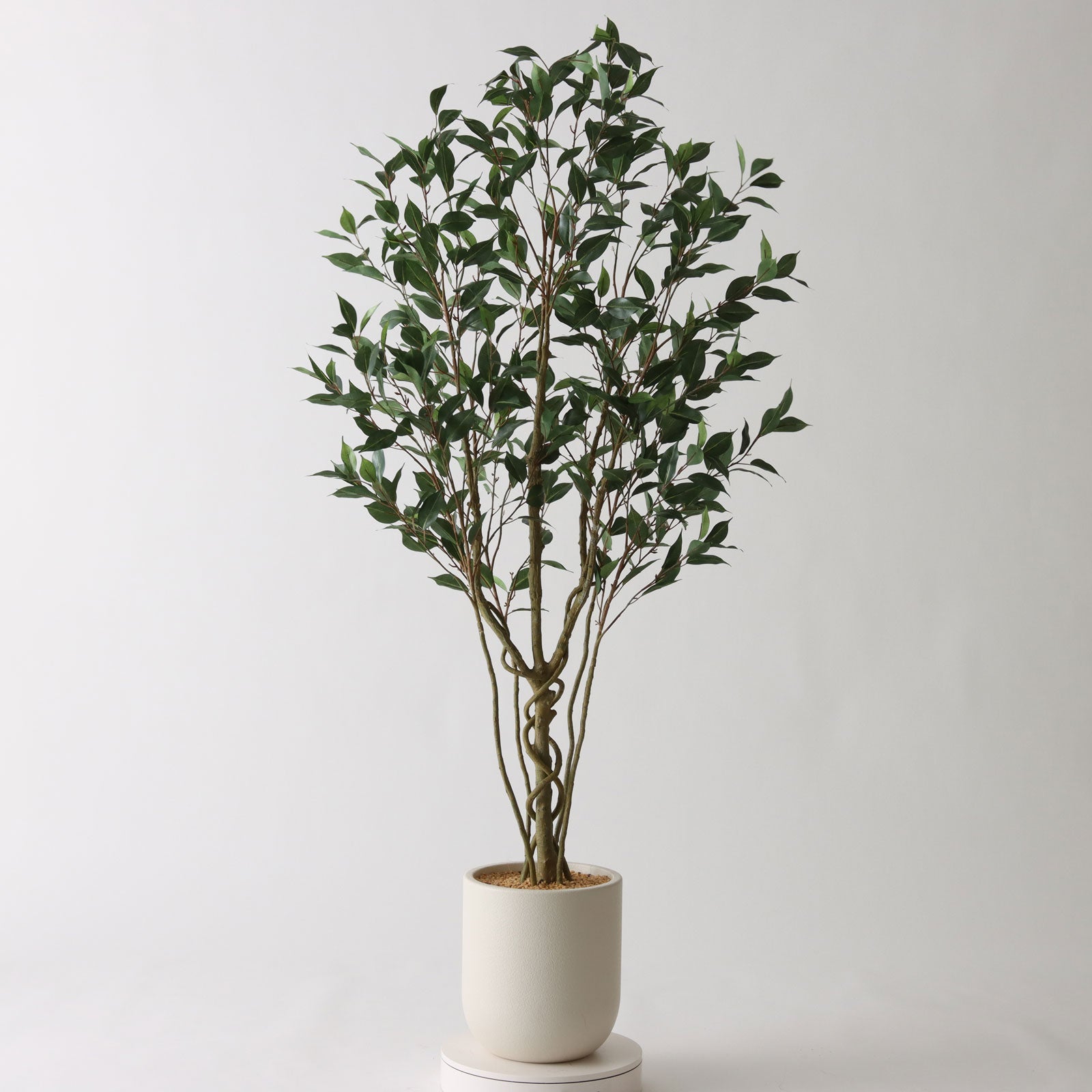 光触媒　人工観葉植物　フェイクグリーン　ヤマモミジ RED コアッド 200 No8468 プレミアム光触媒フェイクグリーン 「立体的に絡み合う幹の